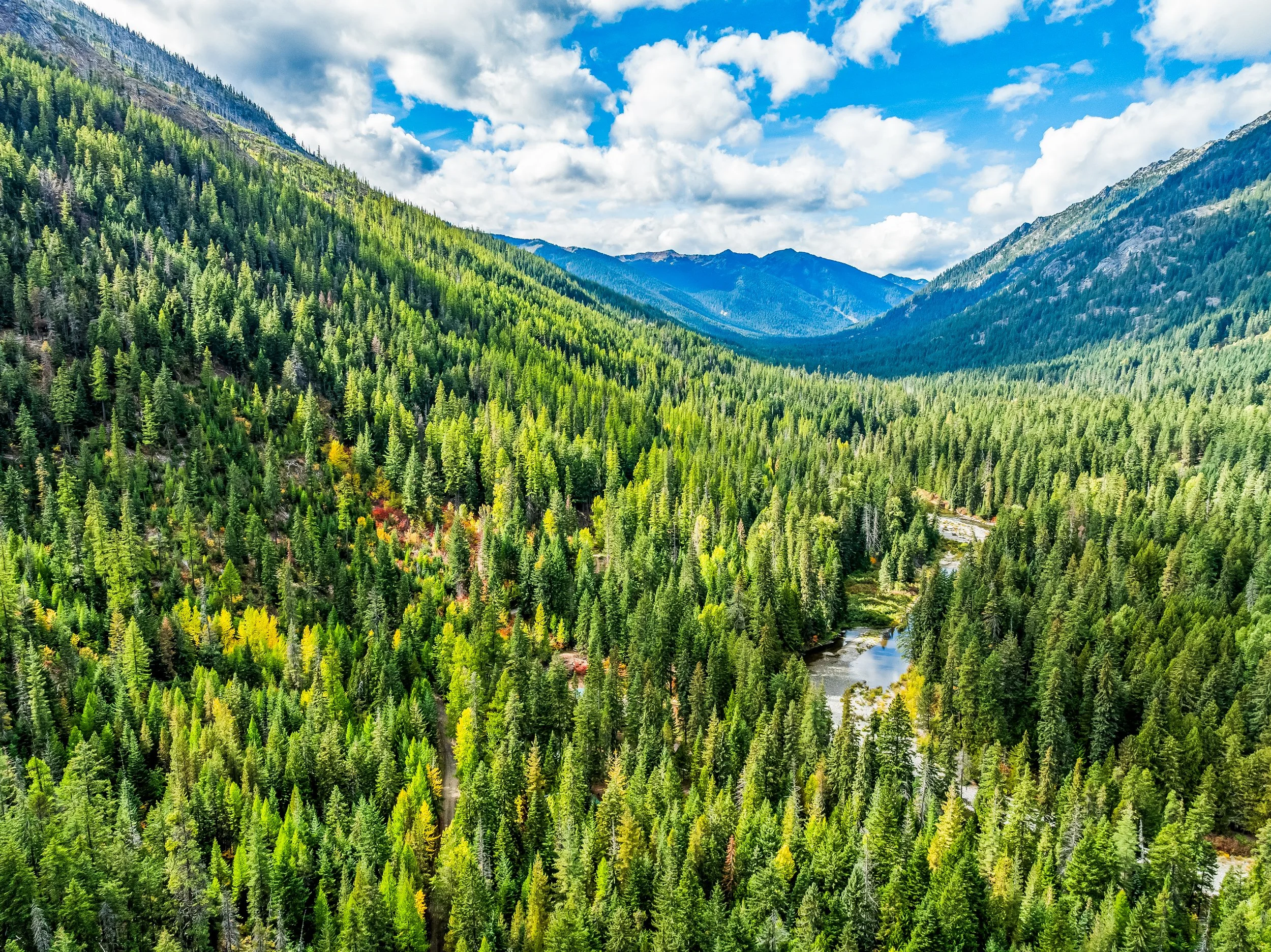 304 Doctor Bob Creek Rd_Claridge_Media_Drone_Photography-3.jpg