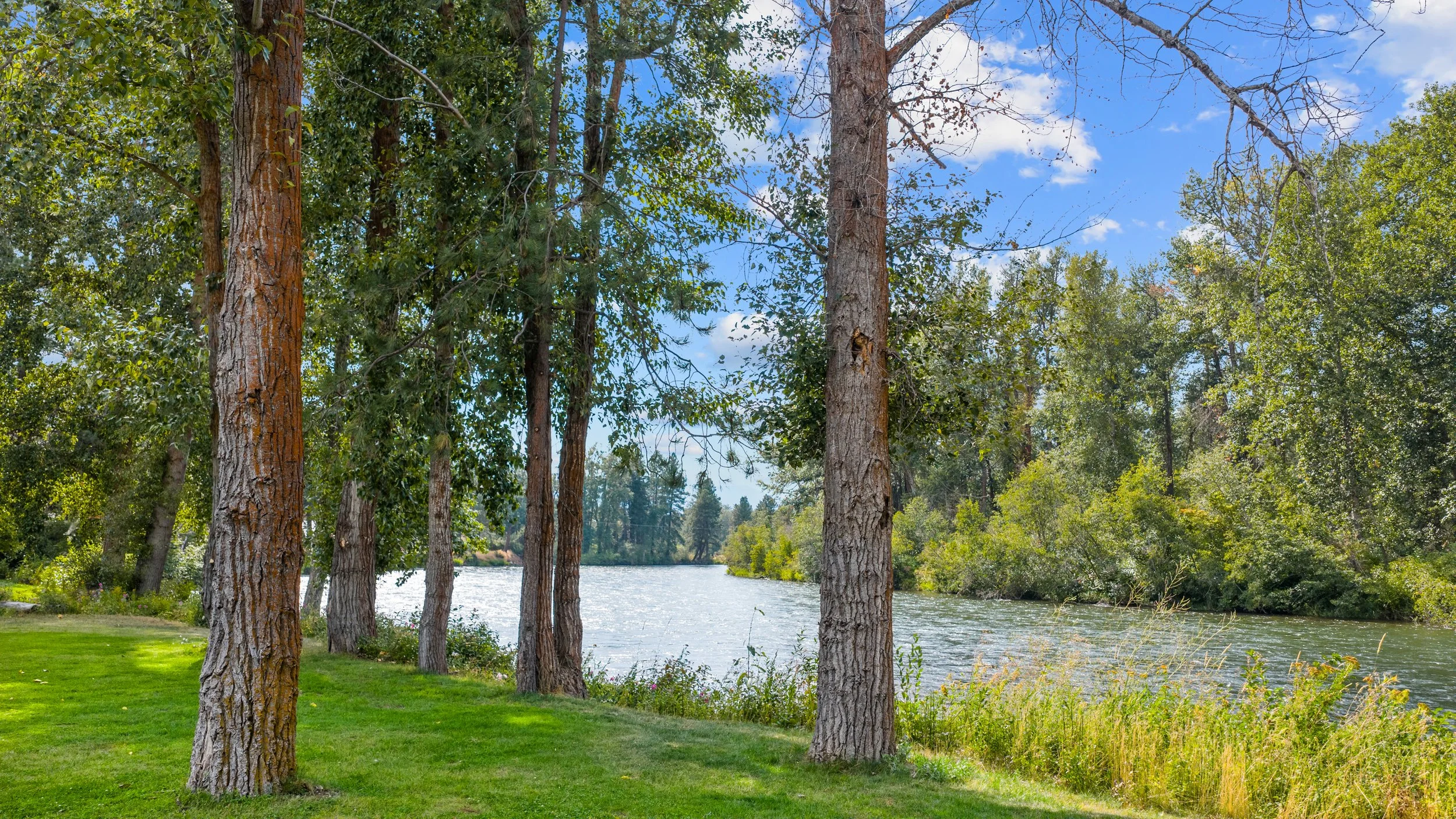 river 5.jpg