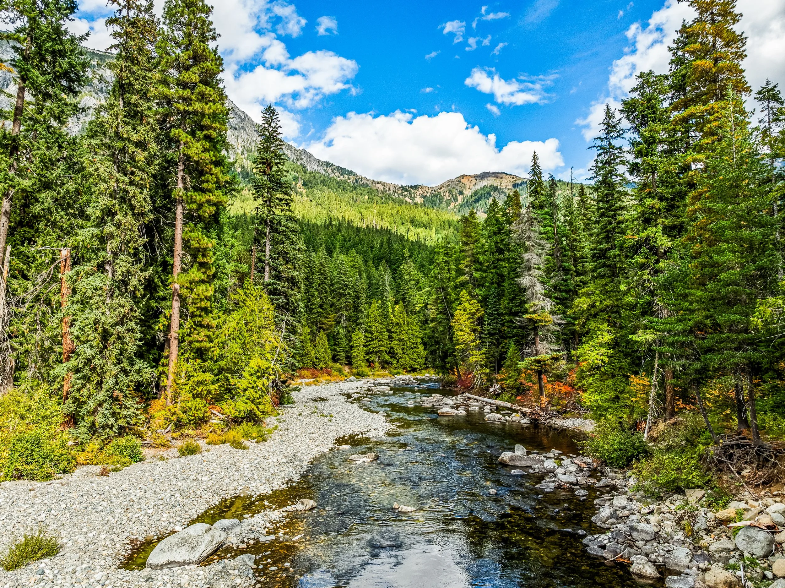 304 Doctor Bob Creek Rd_Claridge_Media_Drone_Photography-18.jpg