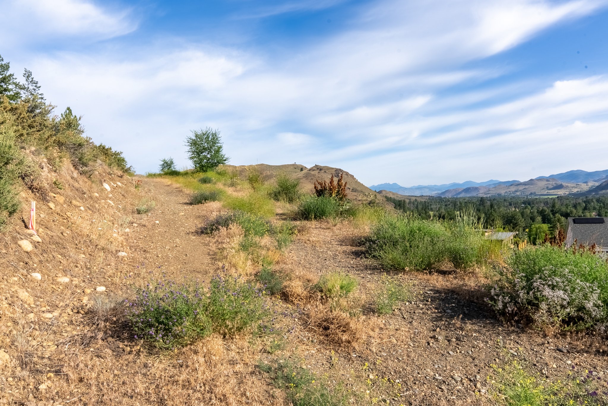 lot 2 upper boundary.jpg