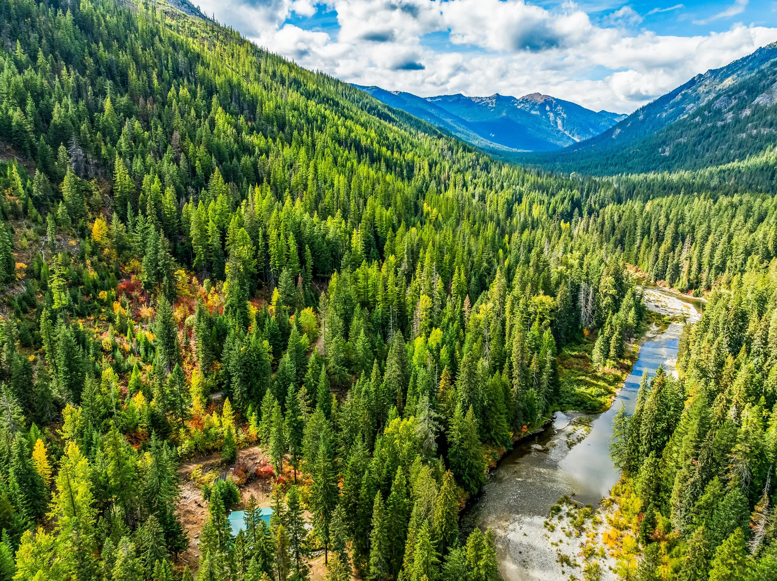 304 Doctor Bob Creek Rd_Claridge_Media_Drone_Photography-7.jpg