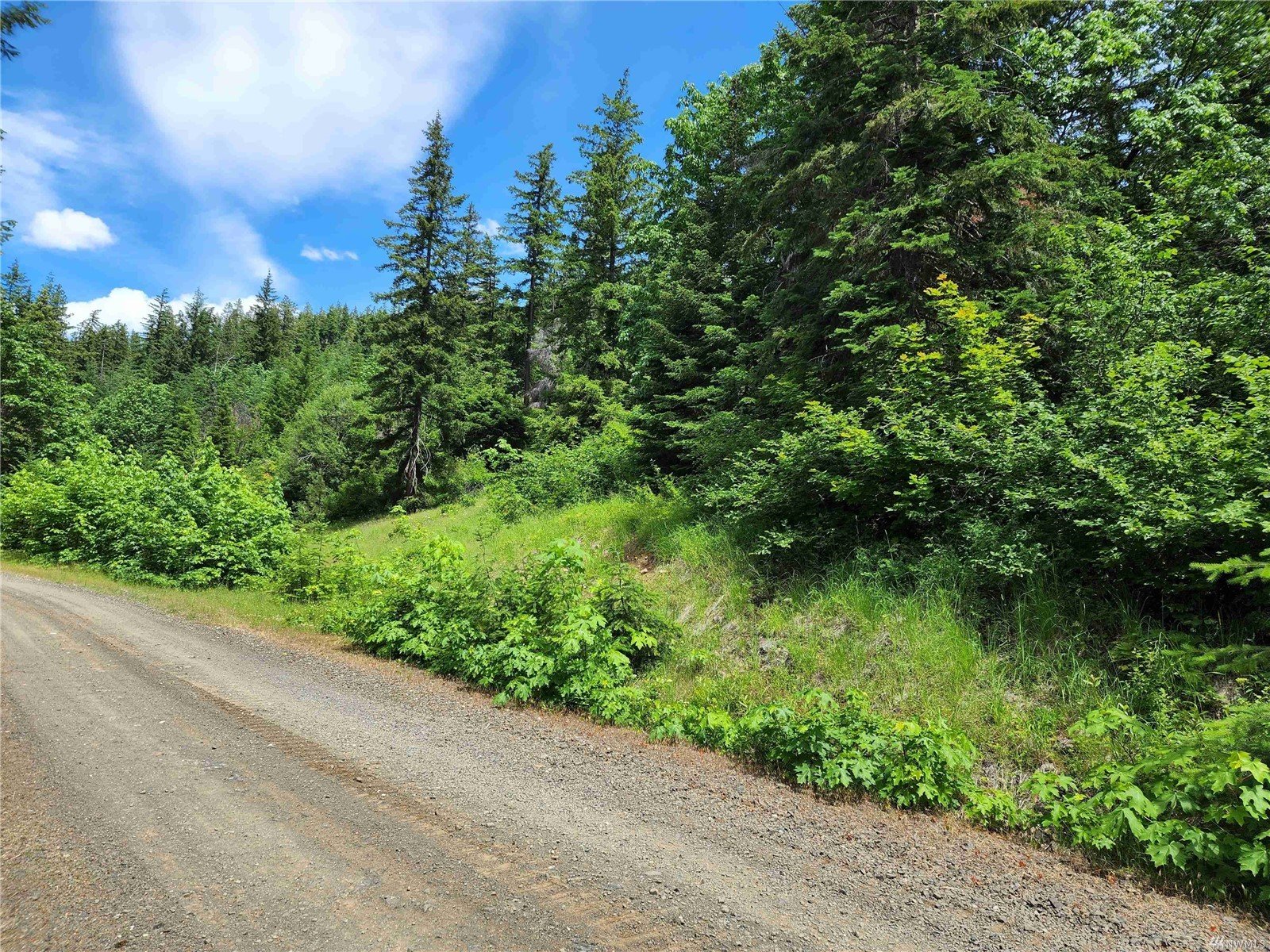14 Newport Creek Lp, Ronald, WA