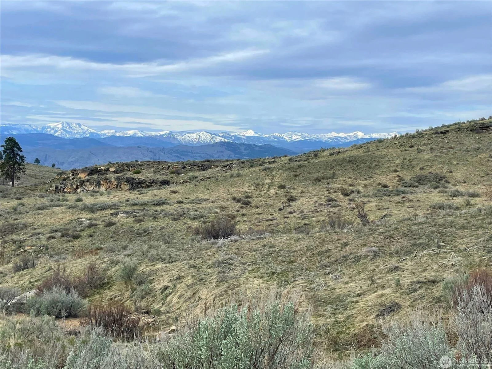 Untitled design (1).jpg