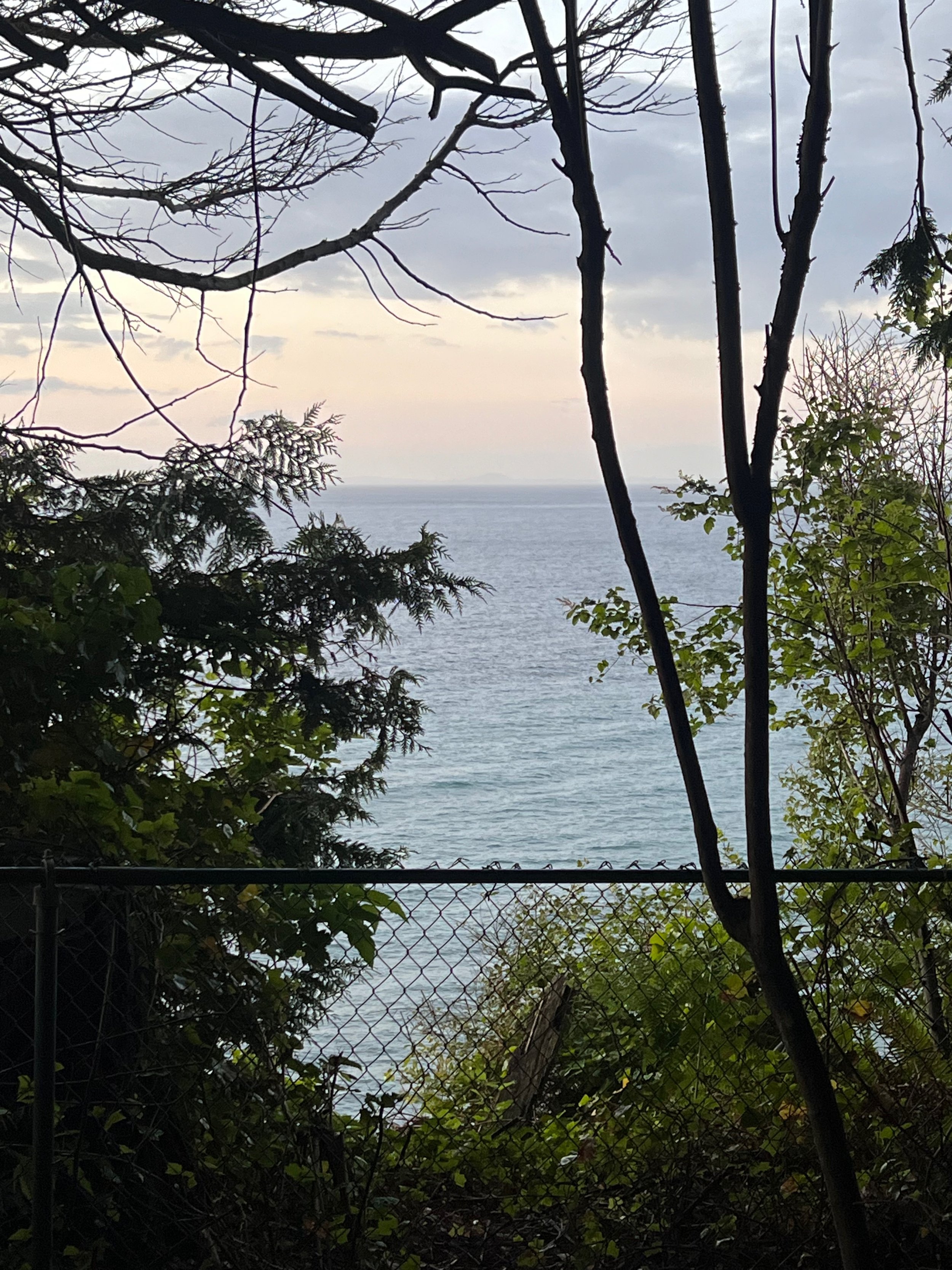 IMG_6148.jpeg