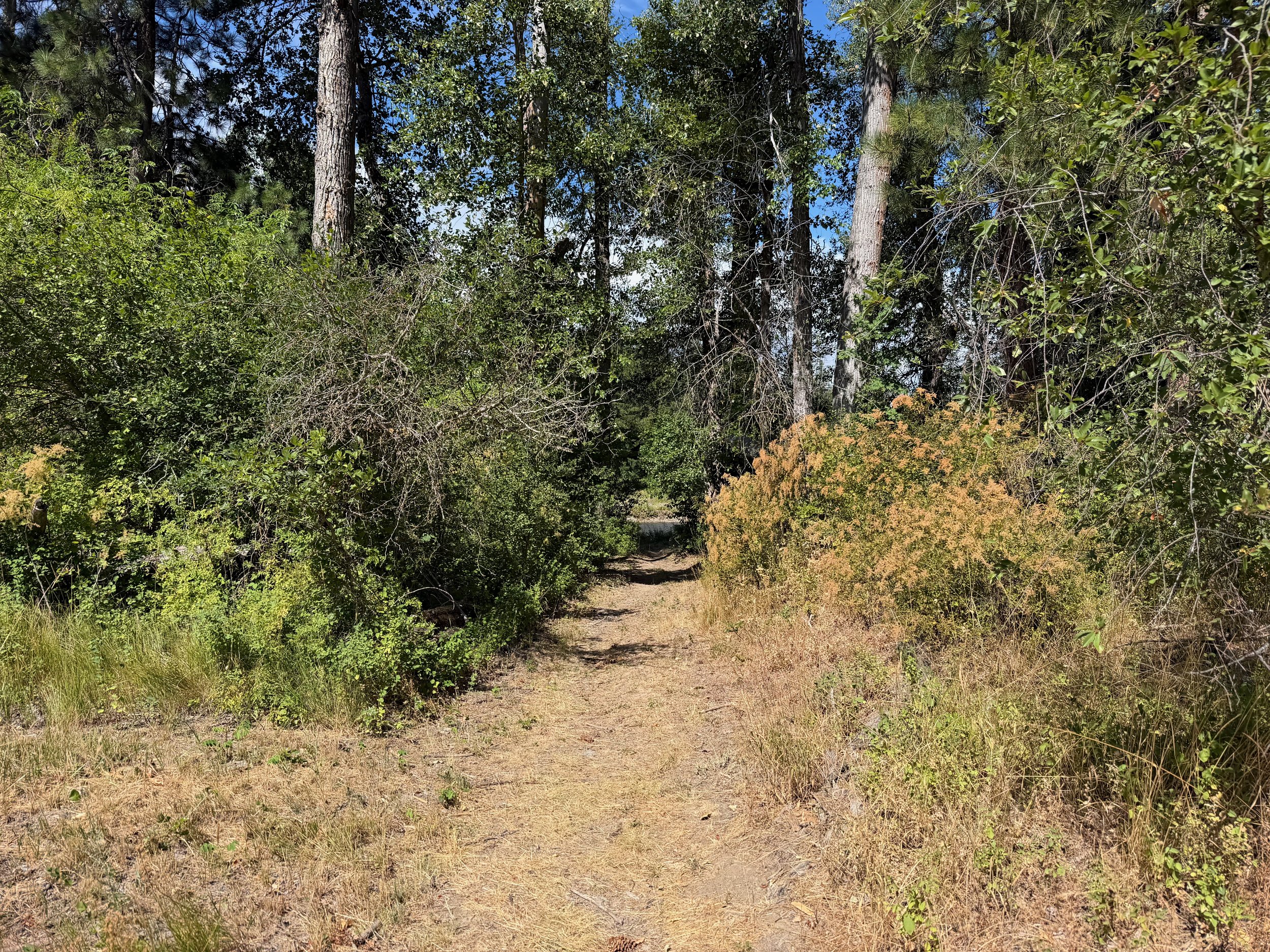 Trail to community beach
