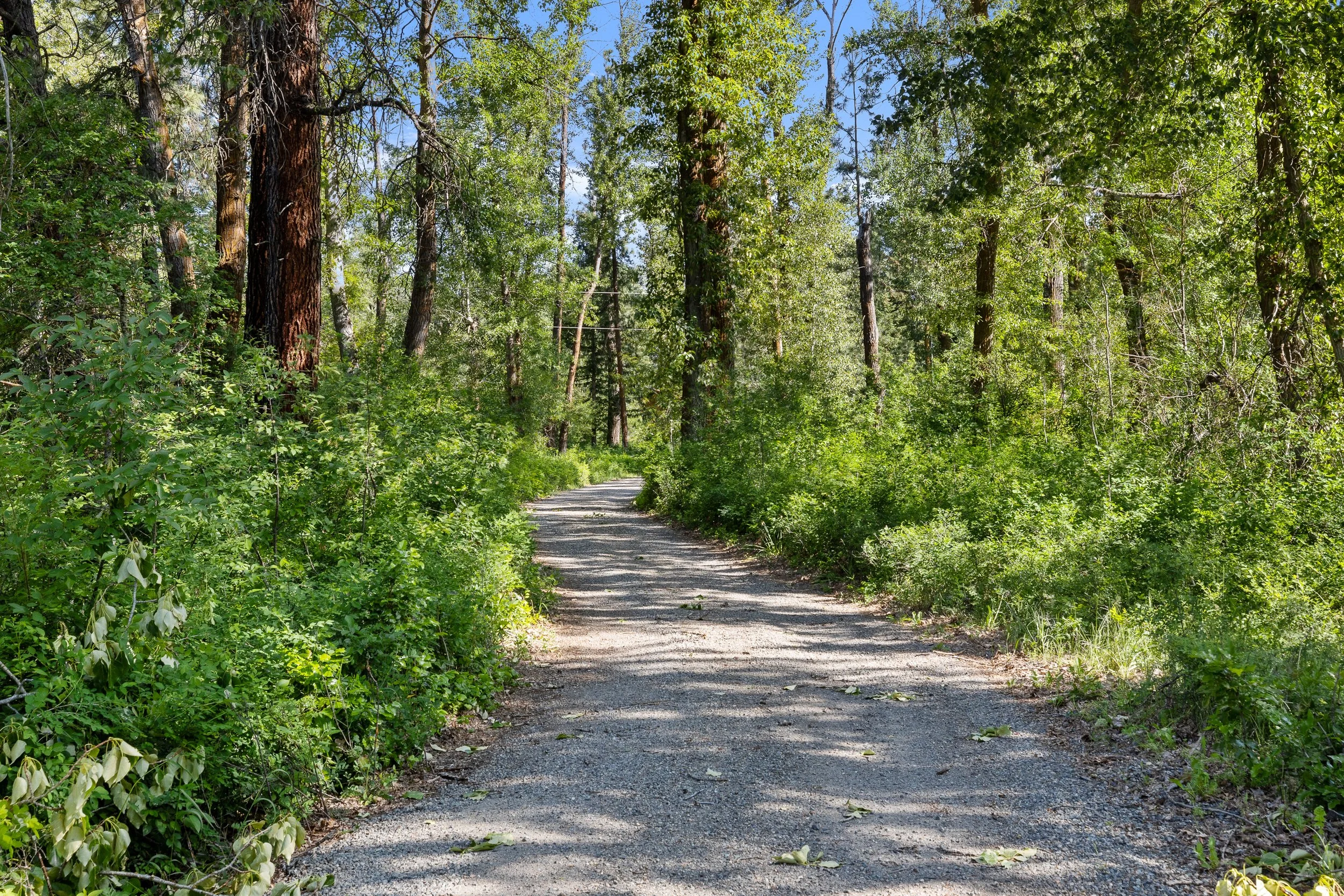 driveway YES.jpg