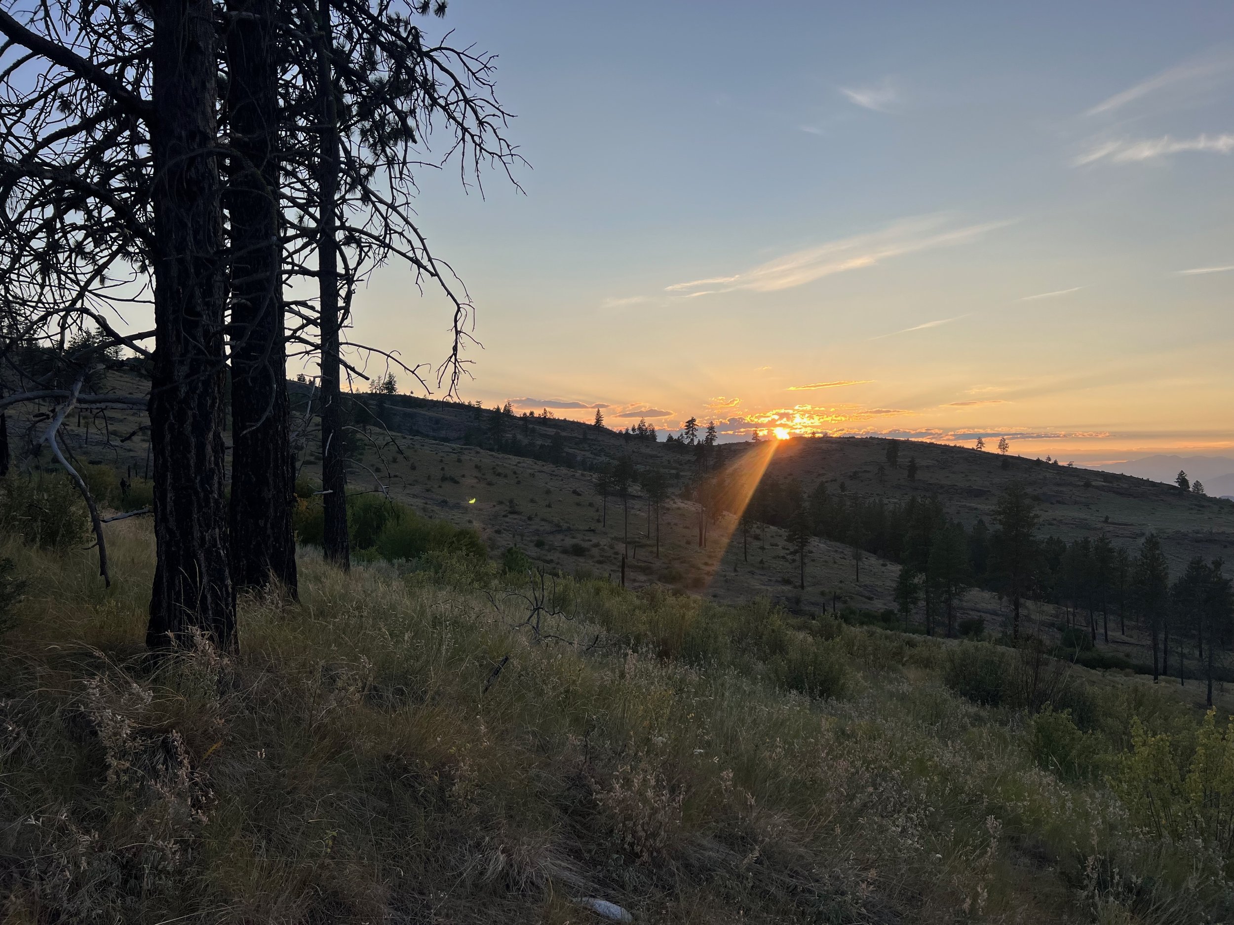 IMG_4983.jpeg