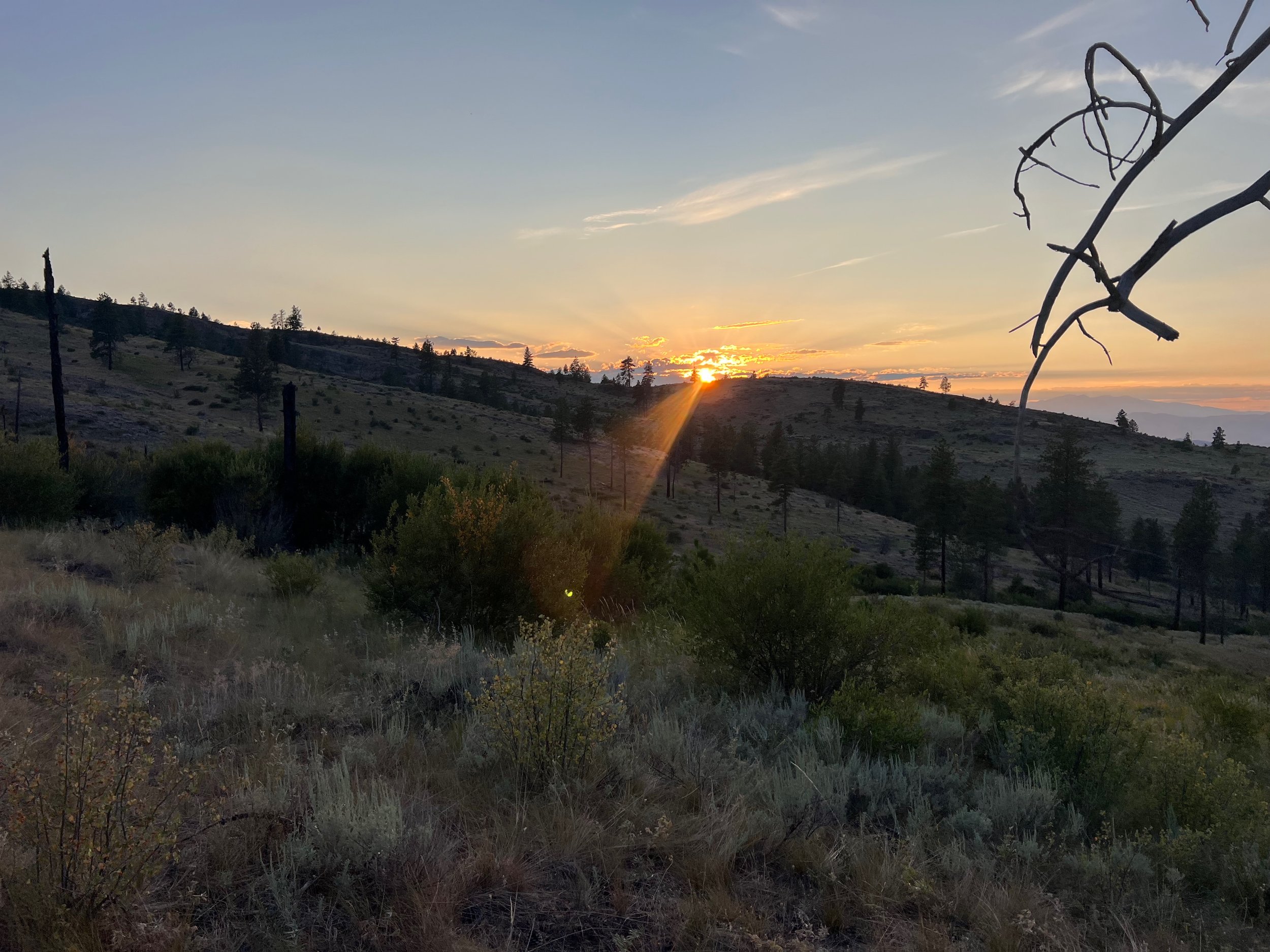 IMG_4985.jpeg
