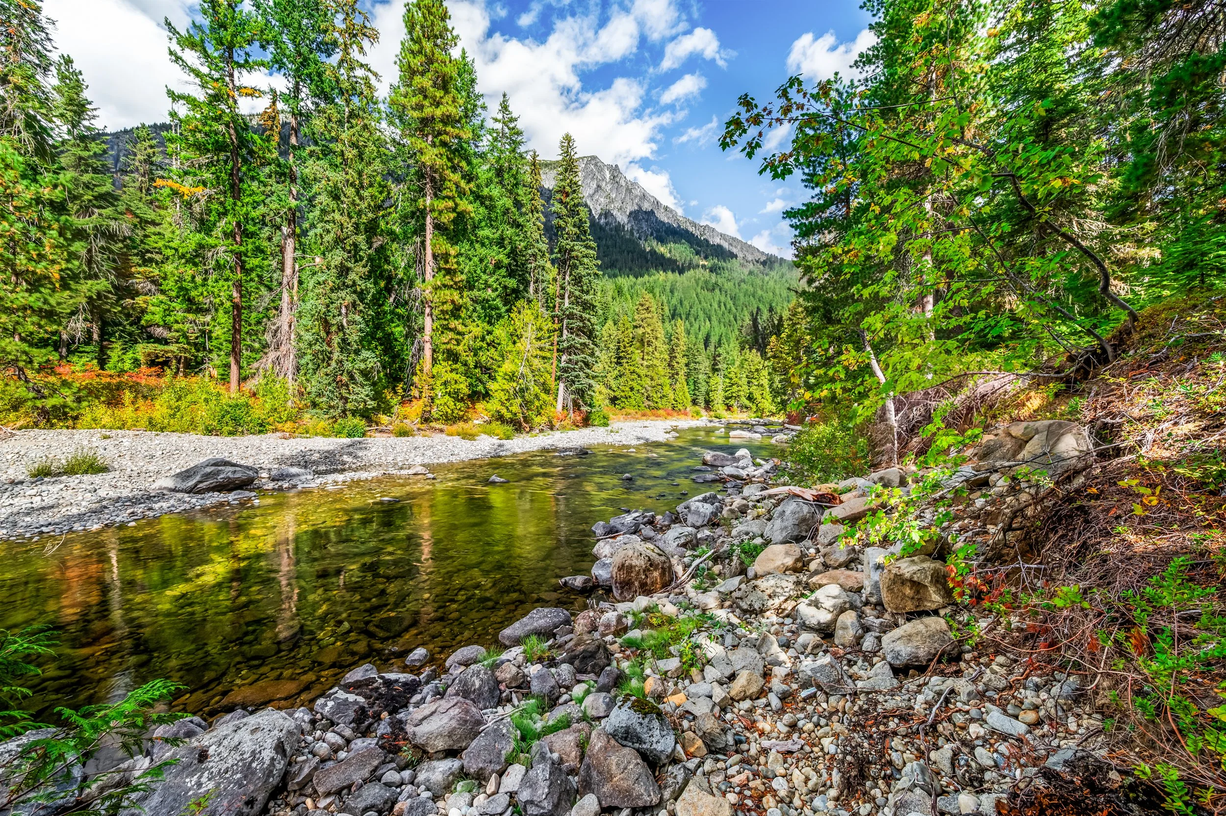 304_Dr_Bob_Creek_Rd_Leavenworth_Cabin_Claridge_Media_Photos-5.jpg