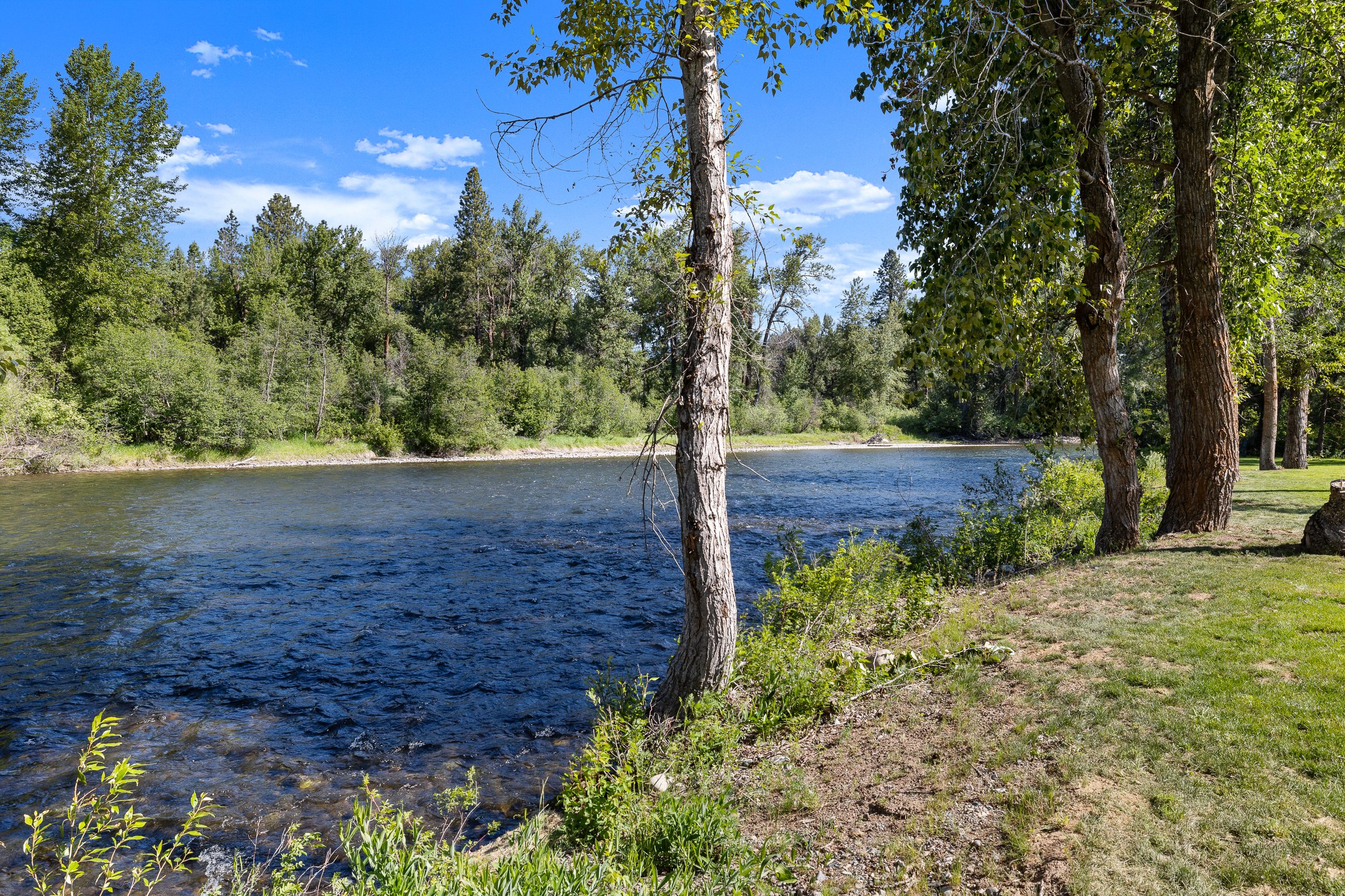 river 2.jpg