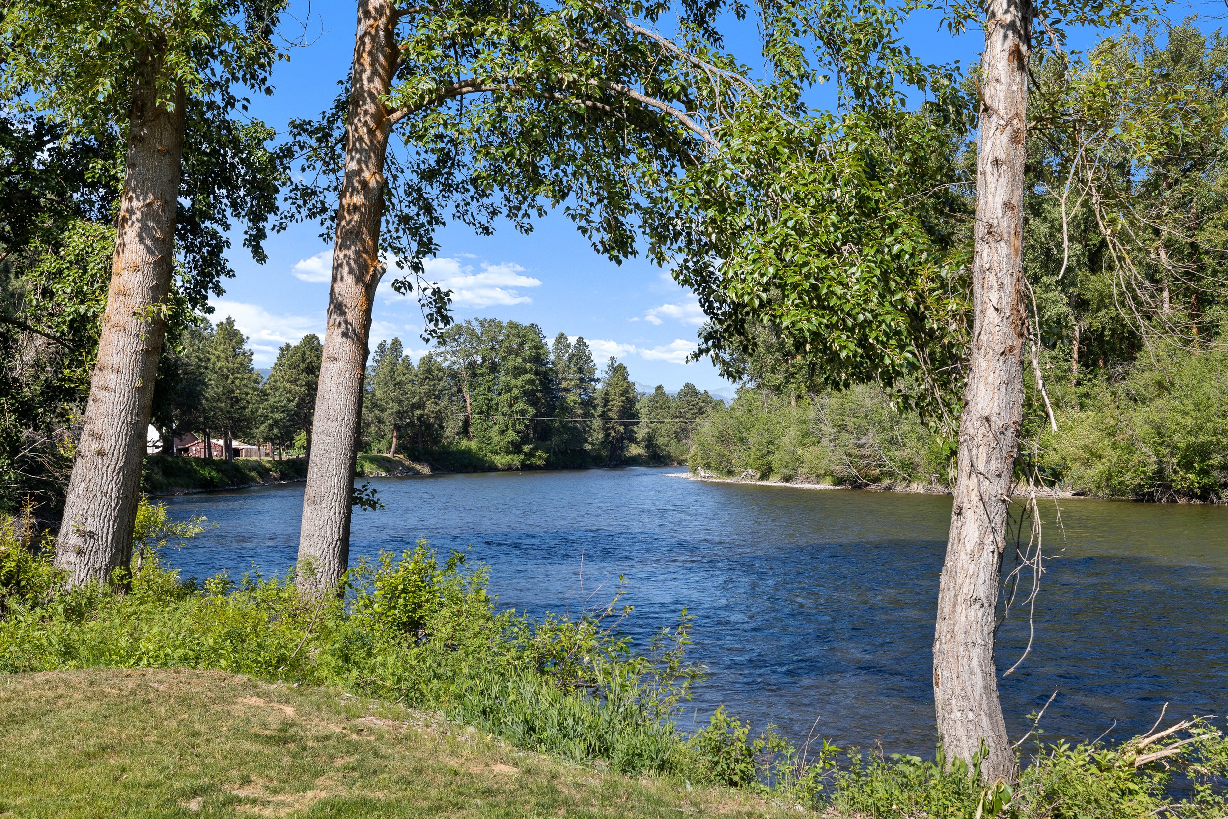 river 1.jpg