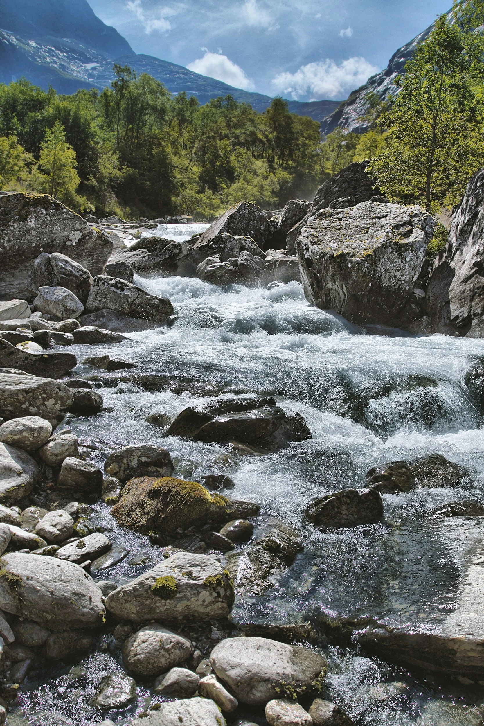 The Beginners Guide to Mindfulness