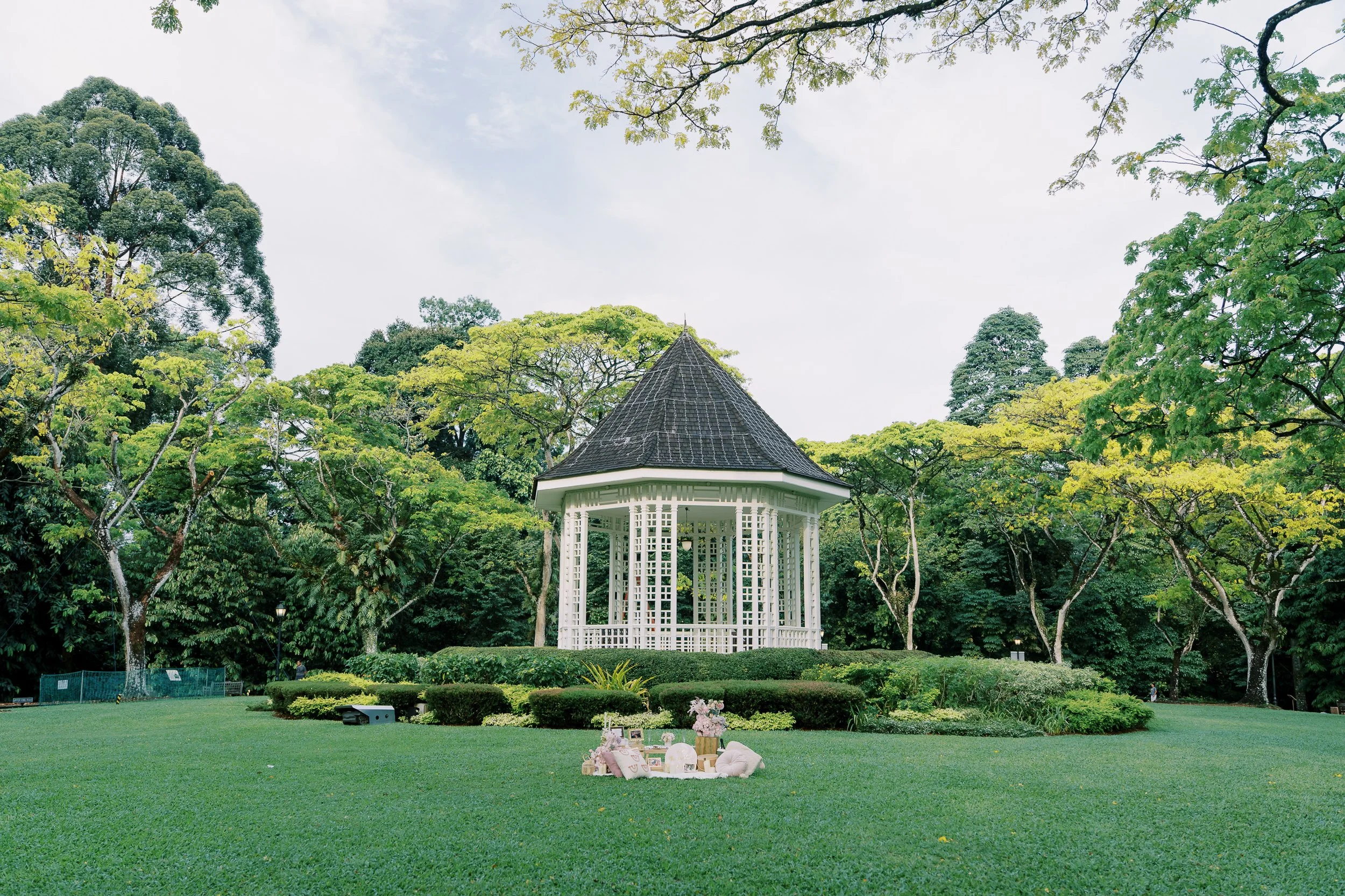 Proposal Photographer Singapore Botanic Gardens-3.jpg