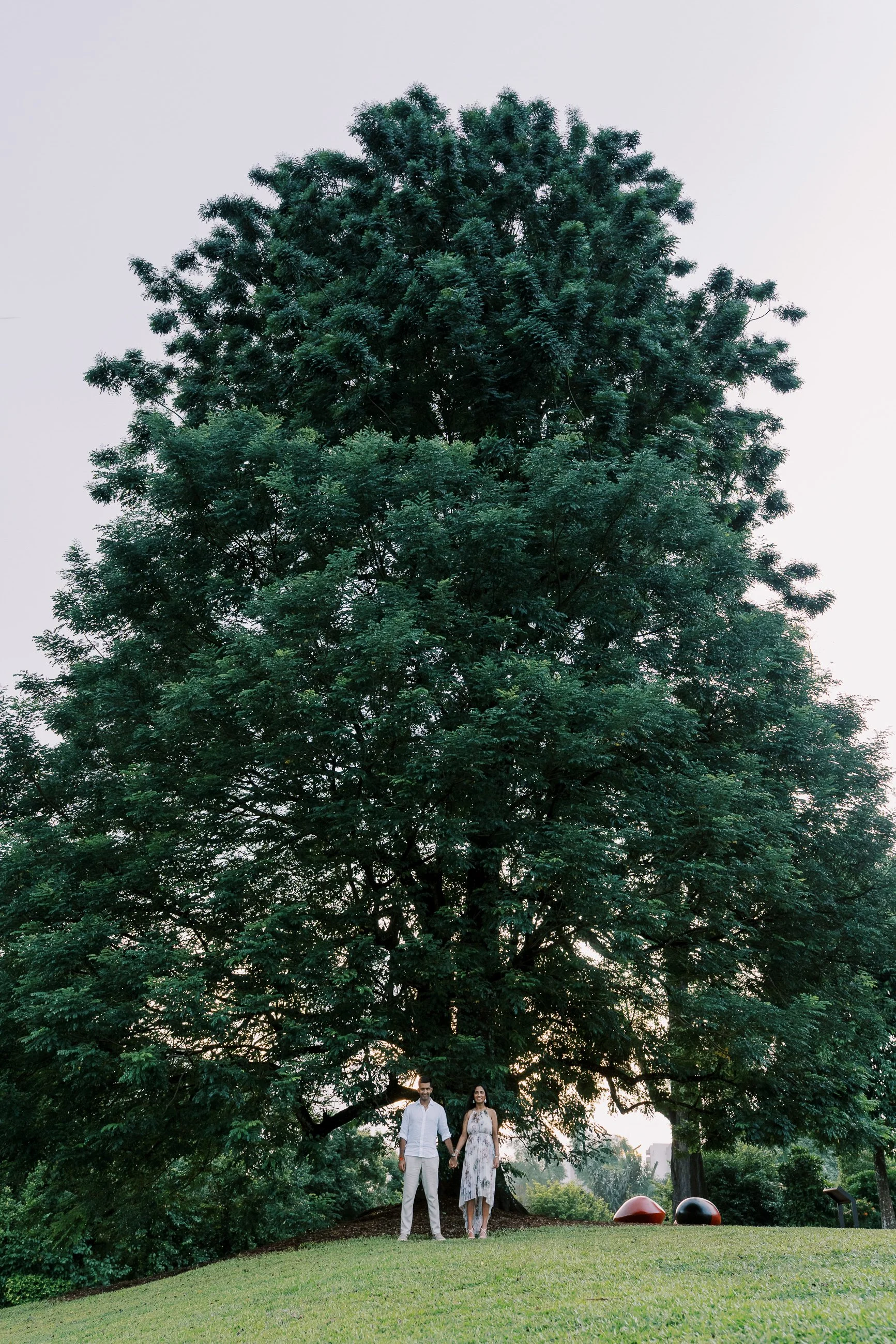 Proposal Photographer Singapore Botanic Gardens-69.jpg