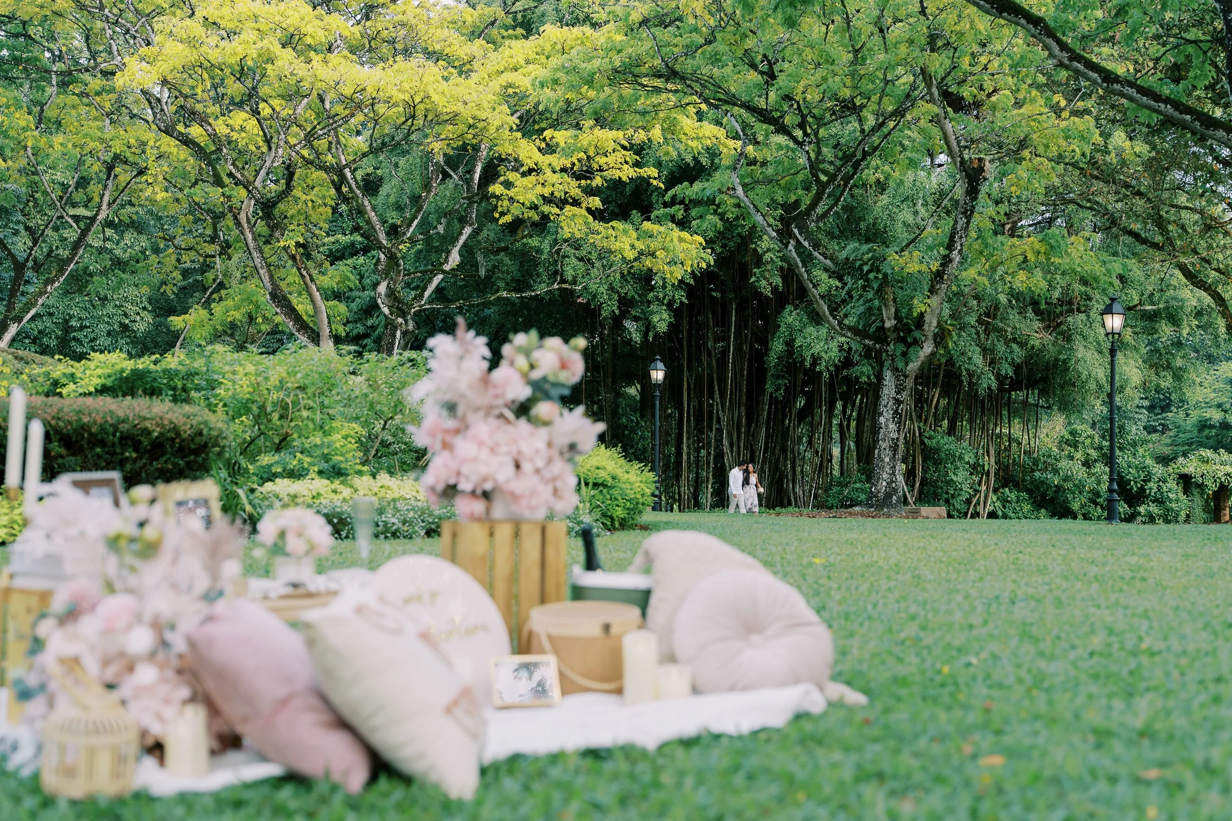 Proposal Photographer Singapore Botanic Gardens-8.jpg