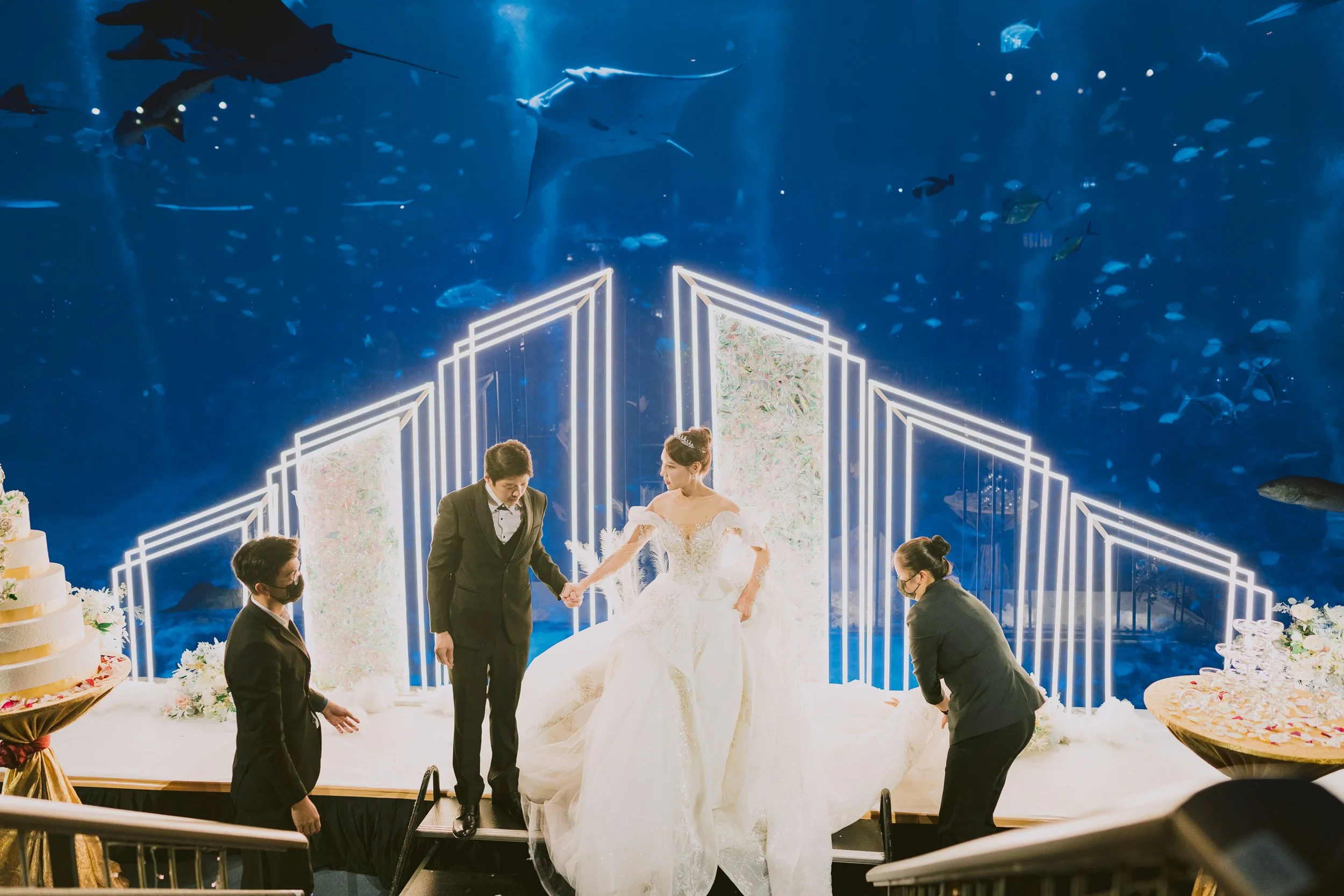 sea aquarium wedding photography singapore-46.jpg