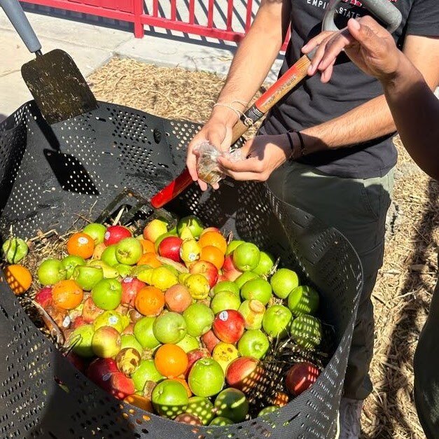 One bad apple....makes GREAT compost! Just be sure to bust up those apples into smaller pieces so they decompose quicker. Here we are at Green Academy at Desert Mirage High School, doing just that! 🍎🍏 #compostislife #composting #desertmiragehighsch