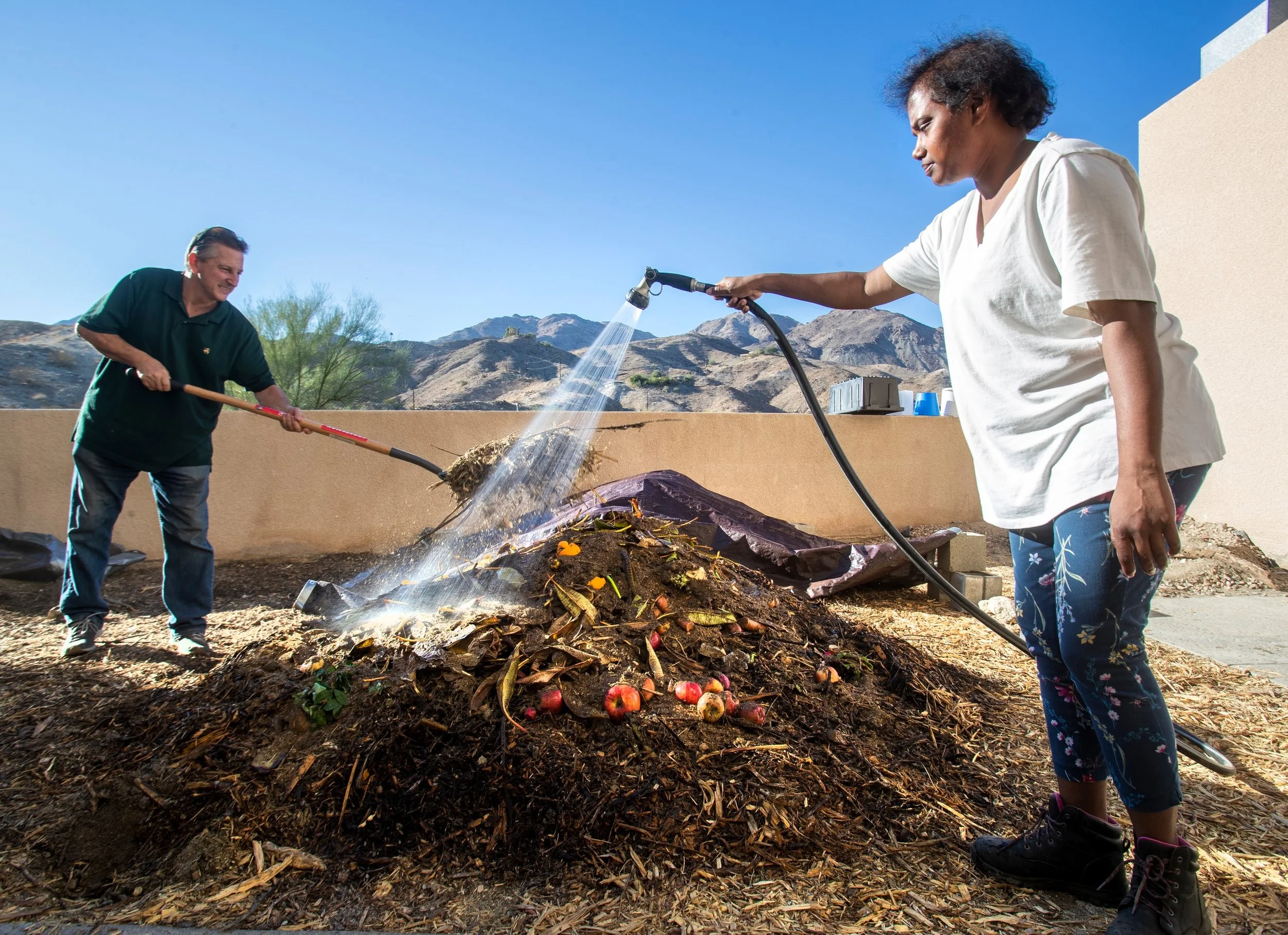 Our Background — Desert Compost