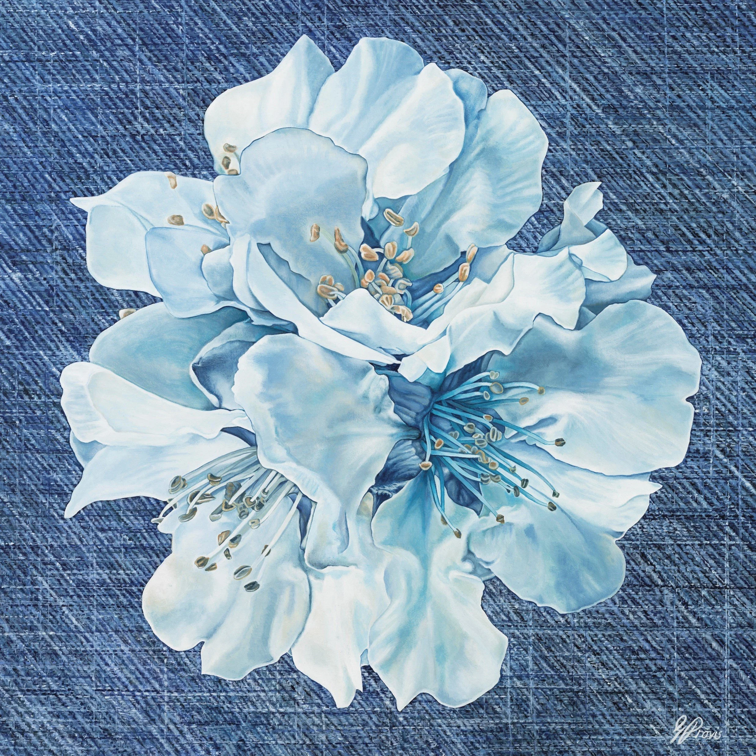 Spring Jean Thumbnail.jpg