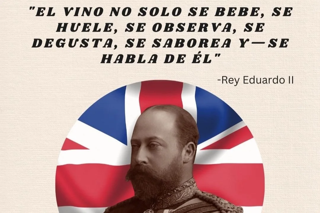 Degustar vino como Sommelier