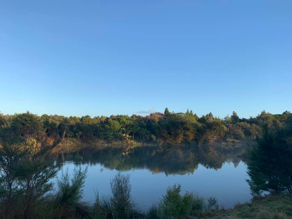 Calm river surrounded by green trees on a clear day.