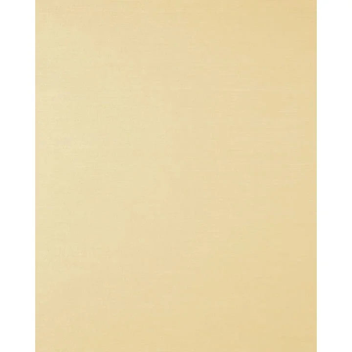 Mirzapur - 3N02- 8x10 - sq.jpg