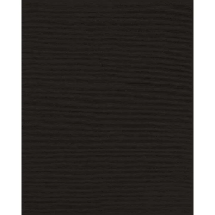 Surat - 4H18 - 8x10 - sq.jpg