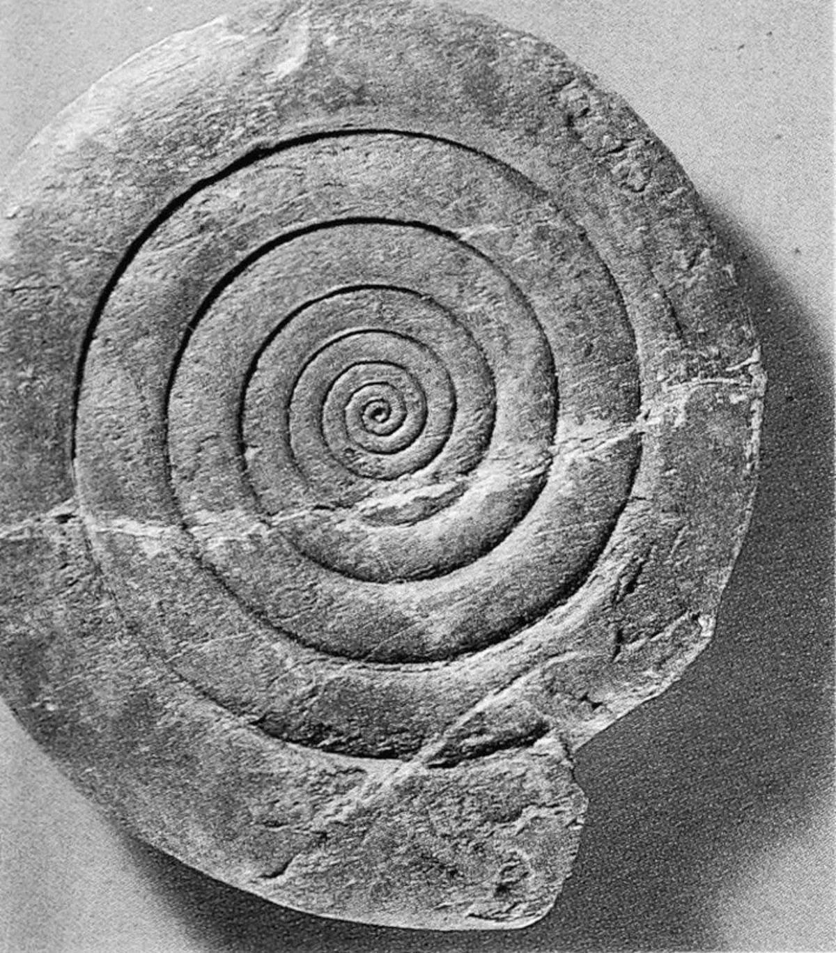 The School of Astrological Arcana