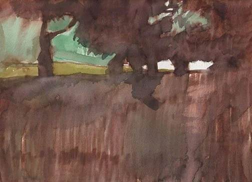 Tree silhouette in warm sunlight