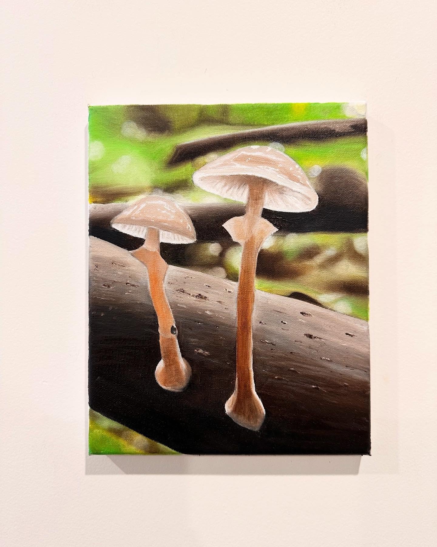 Finished ✔️ 🍄