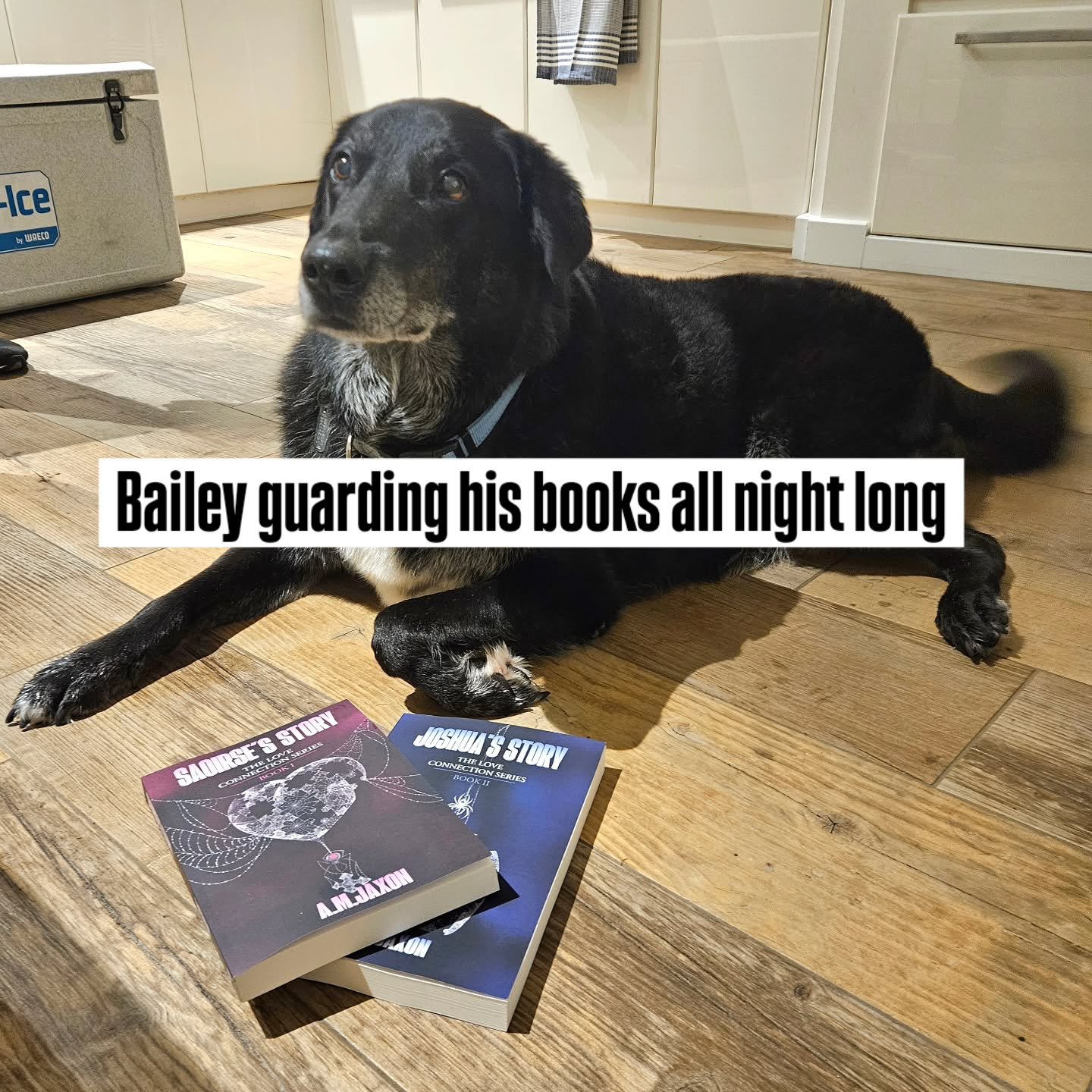 Bailey enjoying the book launch and his treasure.

#romancethriller #romanticsuspense #romance #romanceisnotdead #romancewritersofamerica #strongwomen #romancereadersofinstagram