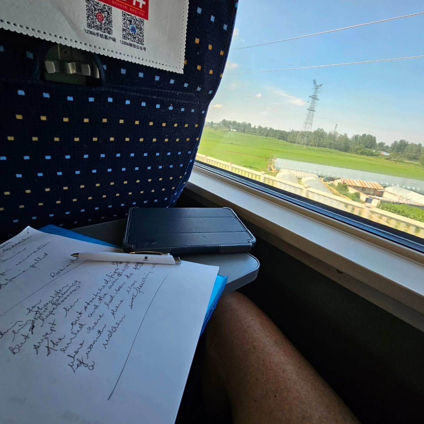 Hitching a fast train to Louyang from Hangzhou. Over the hours, there's time to get some writing done as the diverse and fascinating scenery speeds by. Top speed so far 305km/hr.