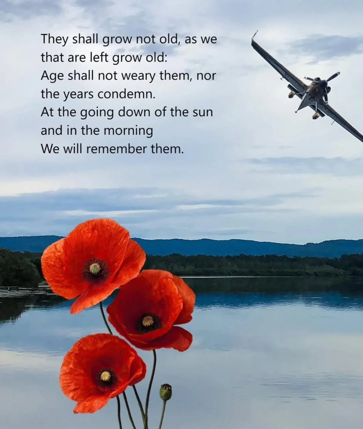 Take a moment to remember the selfless sacrifice a generation of who rose from real ashes to find greatness.

#rememberanceday