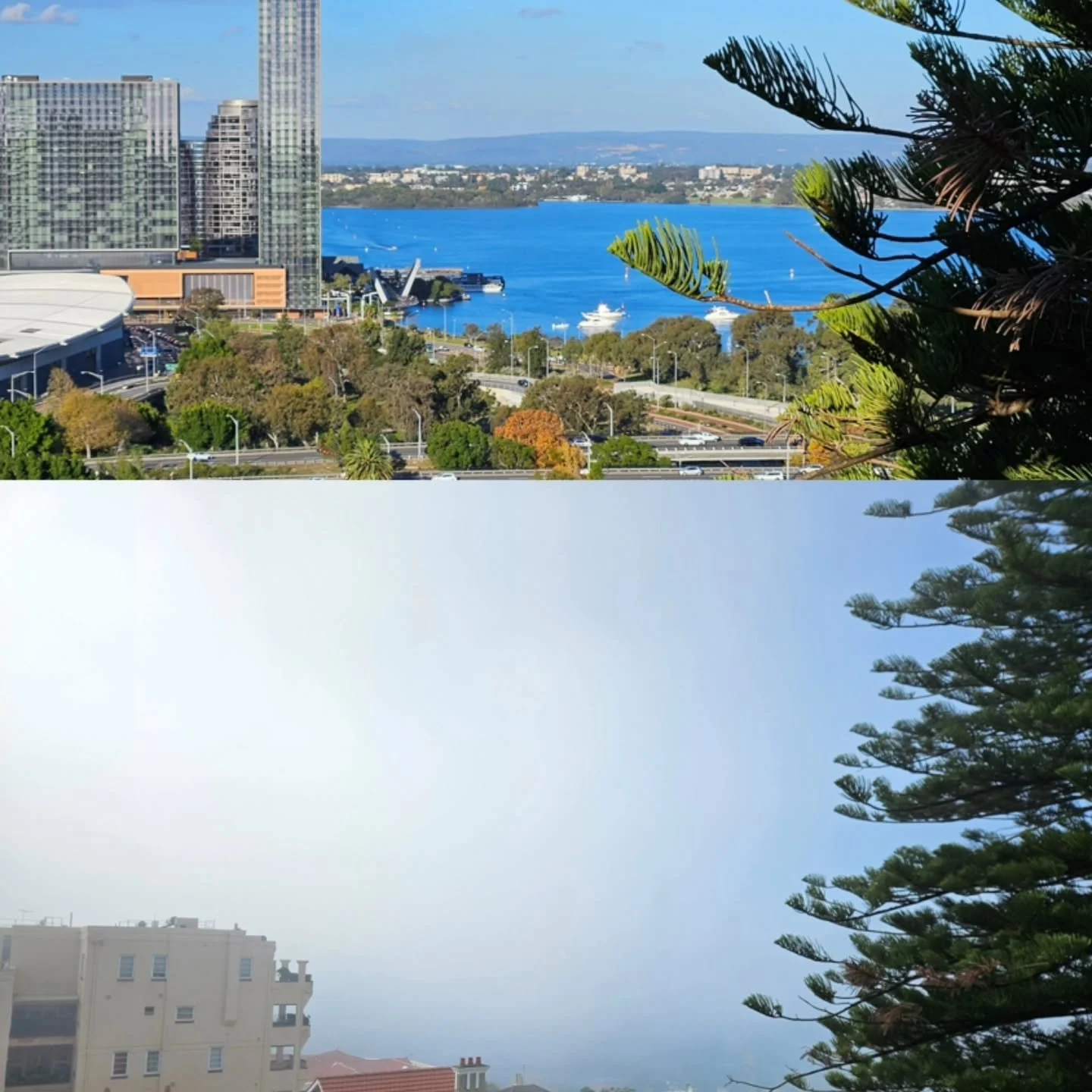What a difference 18 hours makes. 

#perthlife #kingspark #perthweekends #perthsbest