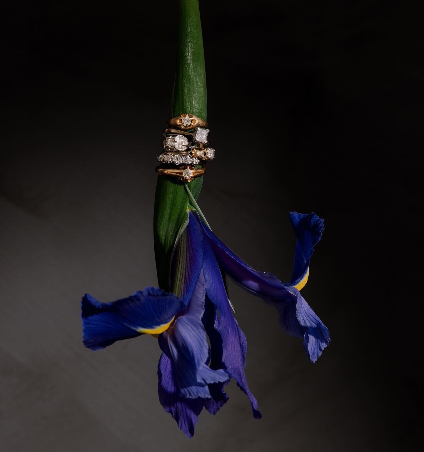 You can never have too many diamonds.

If you see something you like but cannot find it on the website, reach out, there is much more to come!  #antiquejewelry #antiquejewellery #vintagejewelry #vintagejewellery #antiquejewelleryshop #australianantiq