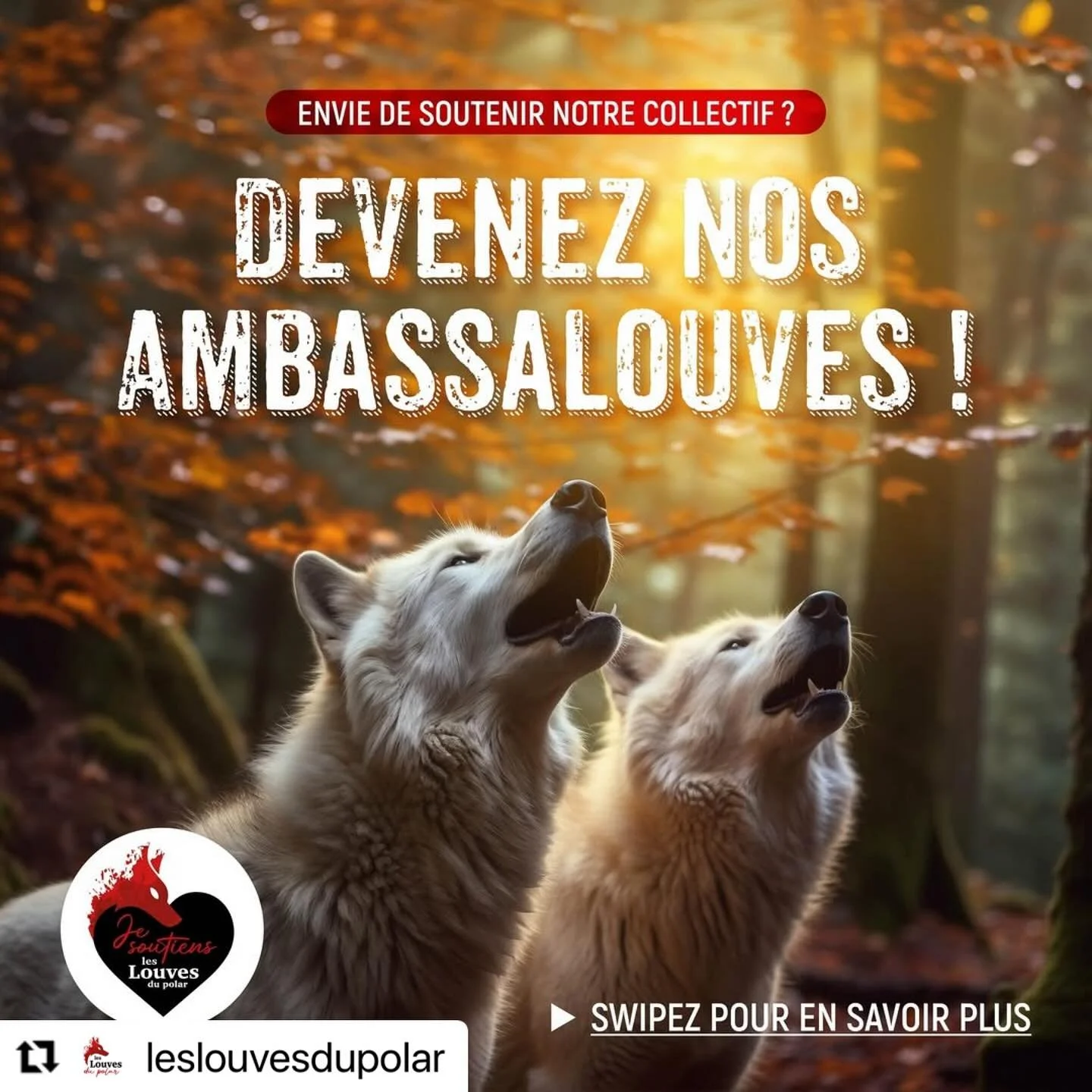 Embarquez votre libraire pr&eacute;f&eacute;r&eacute; avec les louves ! 

#Repost @leslouvesdupolar with @use.repost
・・・
Les Louves ont besoin de vous !

Vous voulez nous soutenir ?
Votre libraire pr&eacute;f&eacute;r&eacute; aussi ?

Alors c&rsquo;e