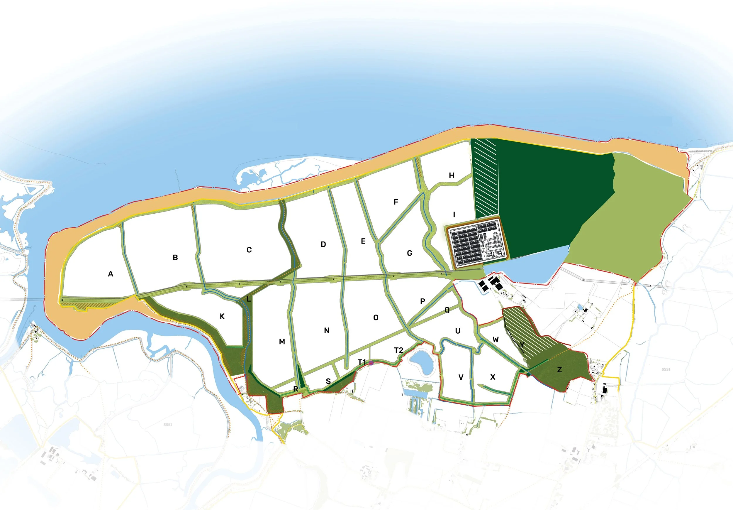 Landscaping and planting update