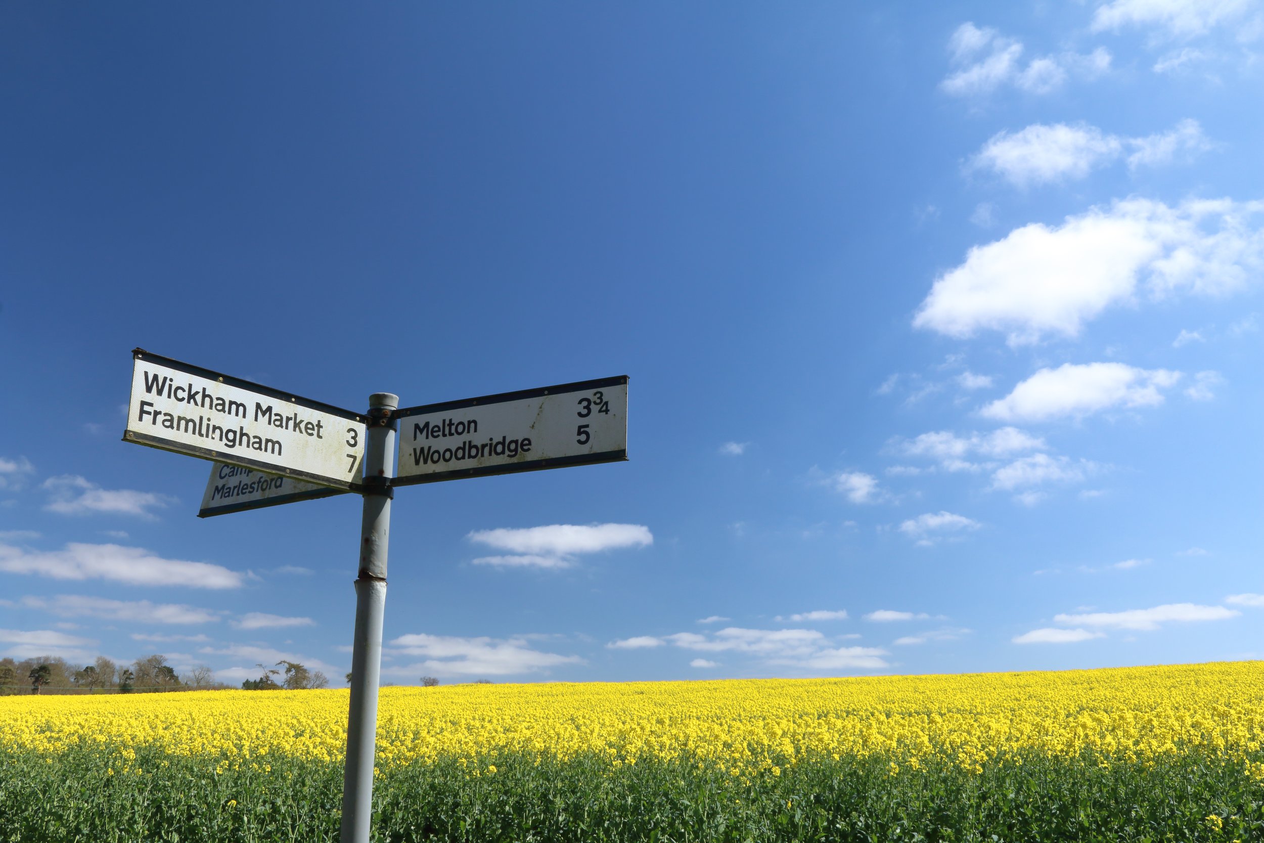 A rural Suffolk scene of a field of oilseed rape in full flower, captured in late April, with a signpost at crossroads pointing to the market towns of Framlingham and Woodbridge and other local villages. (1).jpg