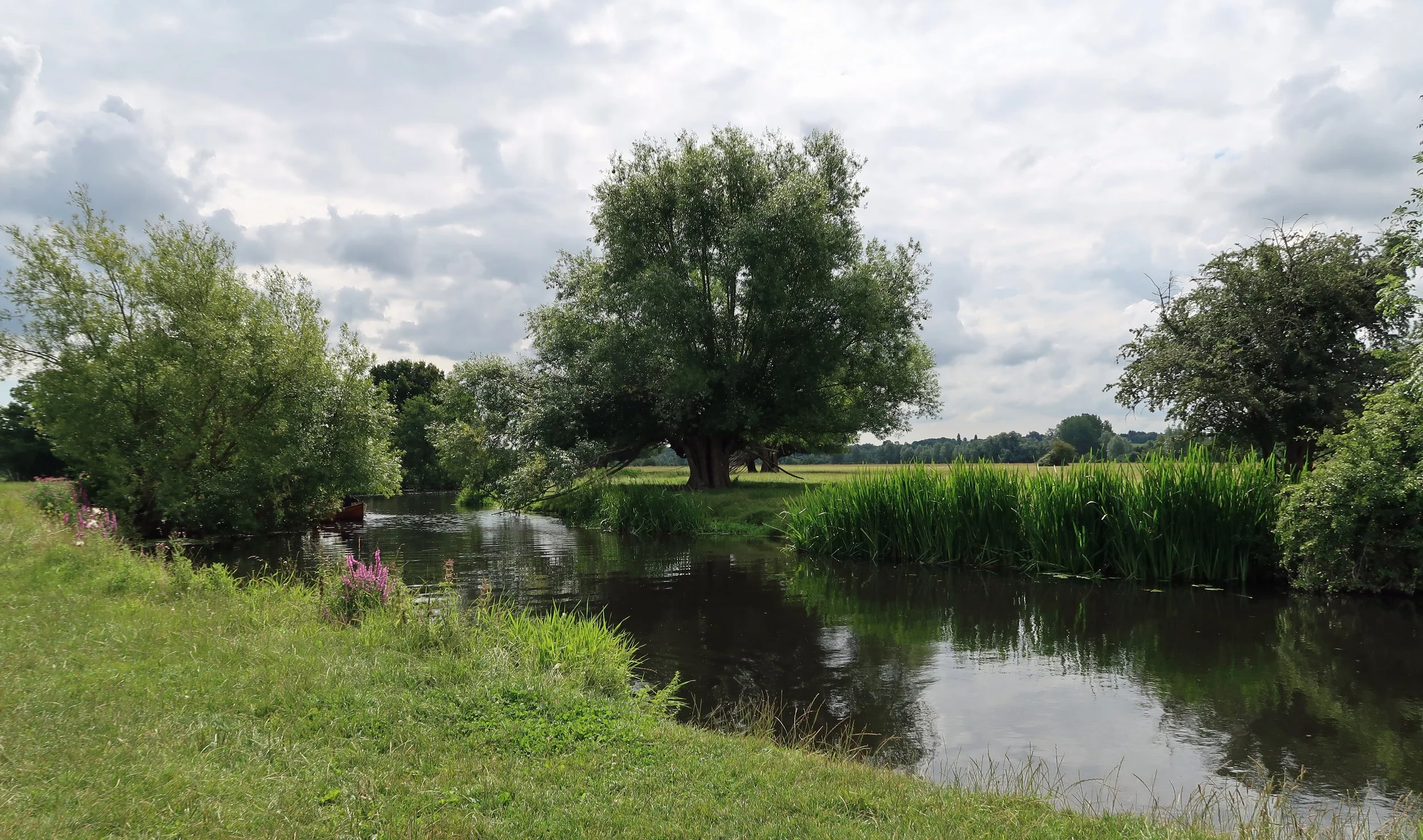 Idyllic river Stour valley water meadow. Footpath between Dedham and Flatford Mill in Constable country. On St Edmunds or Essex way walking trails. Outdoors on a summers day. Suffolk Borders (1).jpg