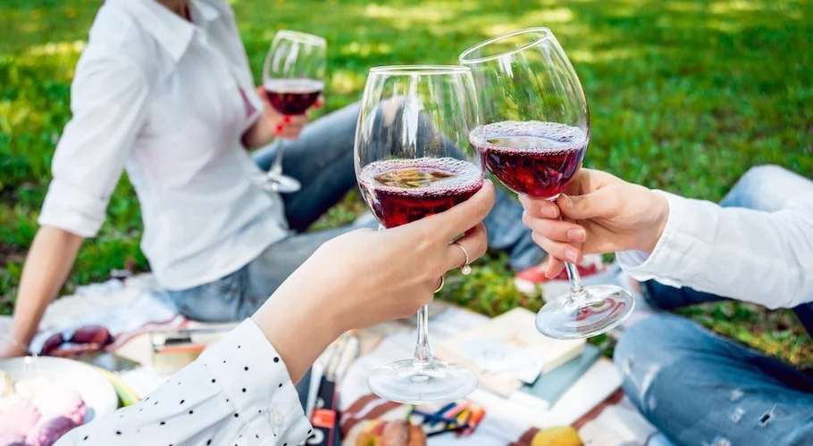 Women with red wine at a picnic in the park, Sonnda Catto, Nutritionist, Glasgow, Scotland