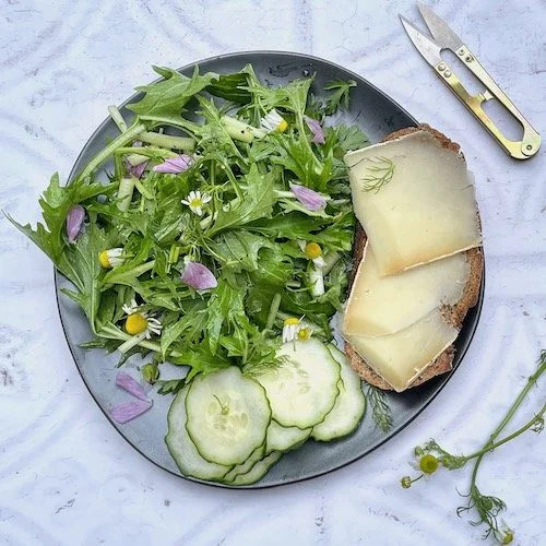 Calcium-rich Spenwood cheese on toast, mizuna & chamomile salad by Sonnda Catto, Nutritionist, Glasgow