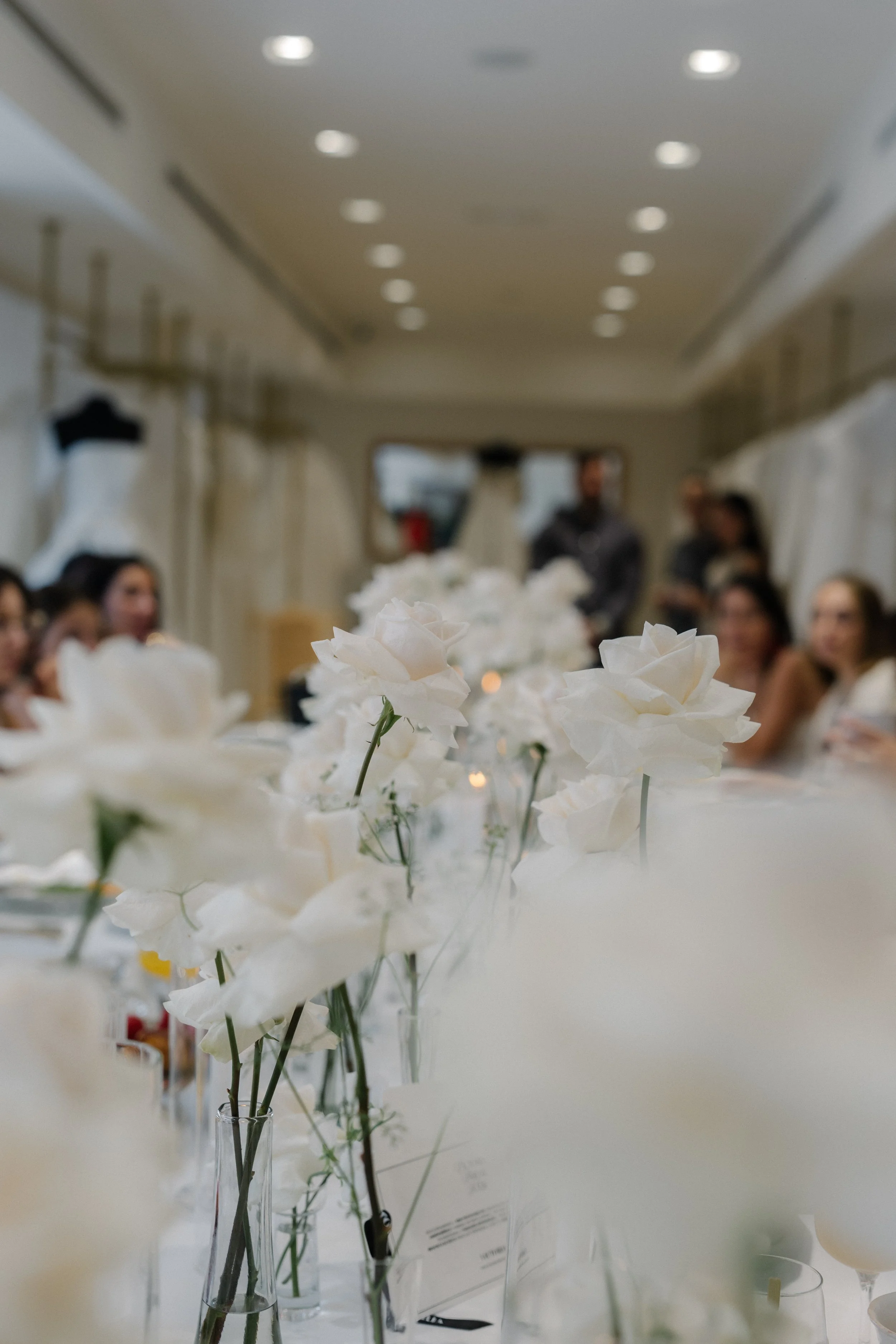 Victoria_bridalVLC-182.jpg