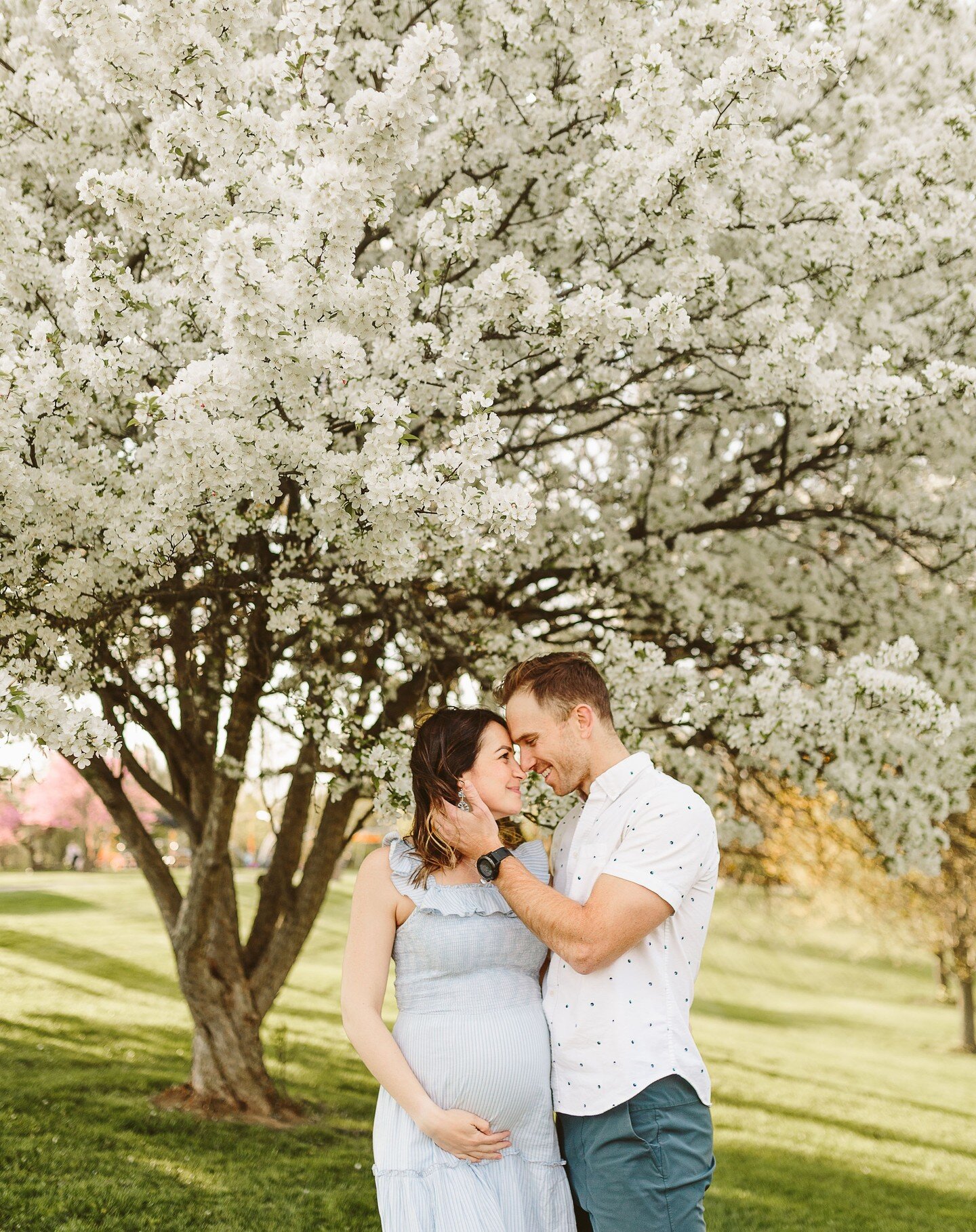 I feel like I can smell fresh laundry and lavender looking at these two!