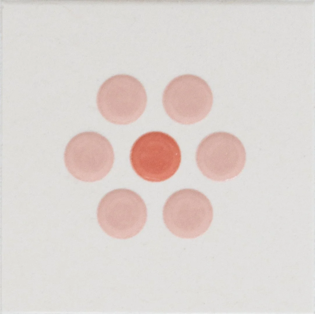 Smarty 05 Rosa Rosso