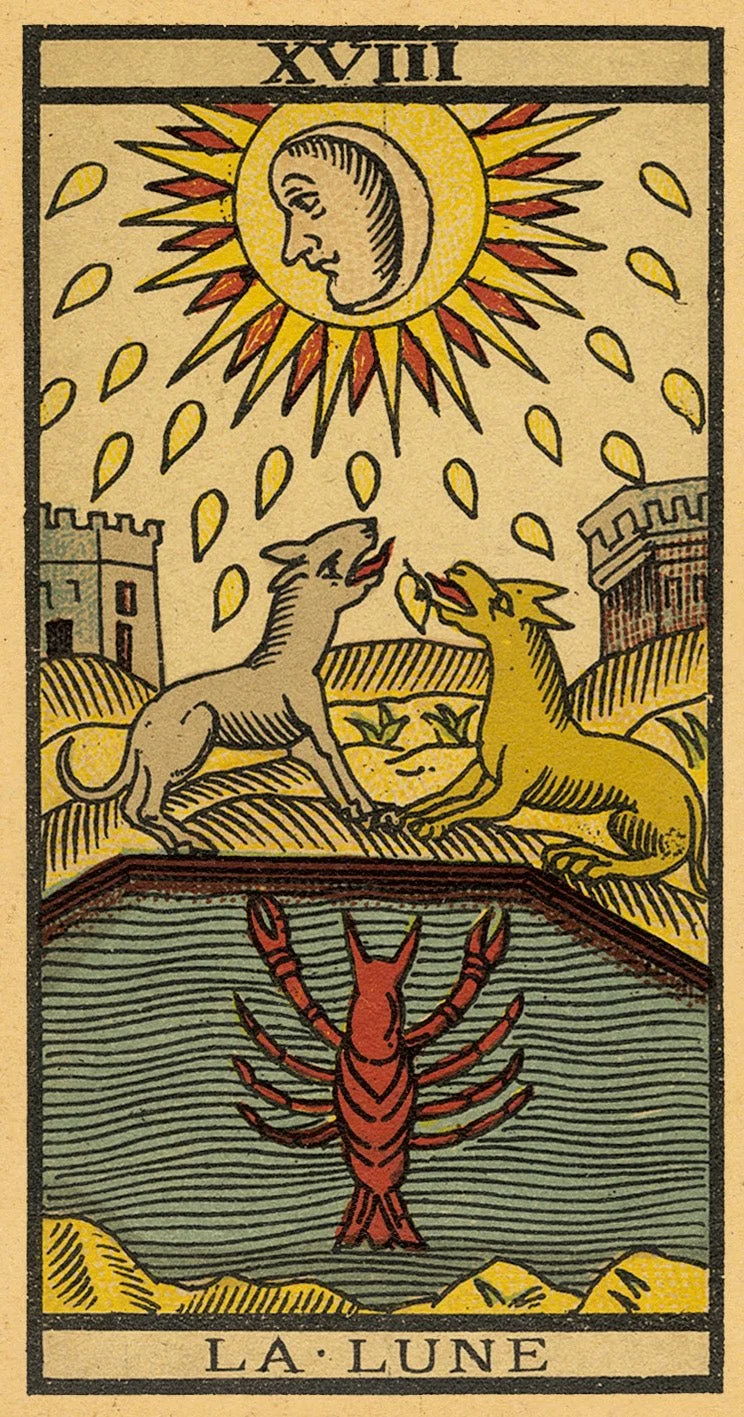 AA16-TarotdeMarseille-CARDS4_900x.jpg