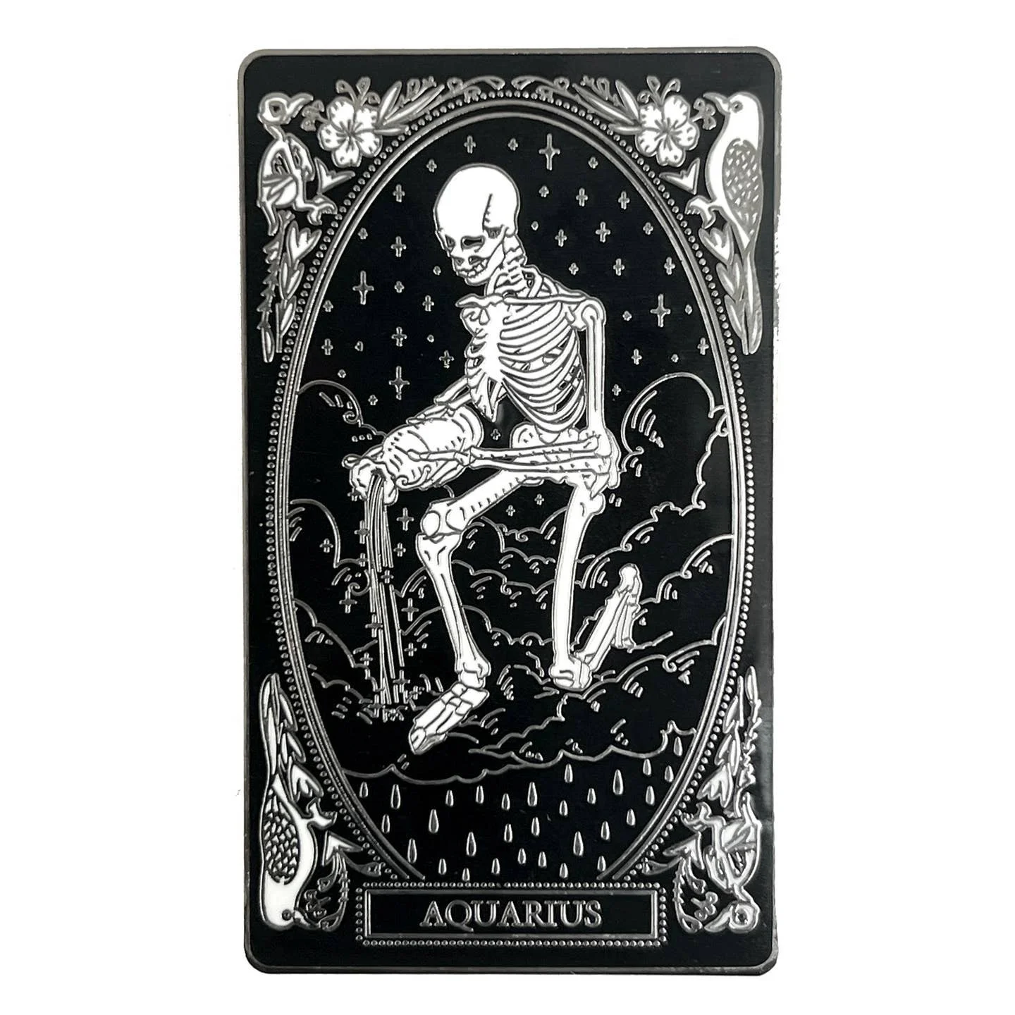 Aquarius Zodiac Pin