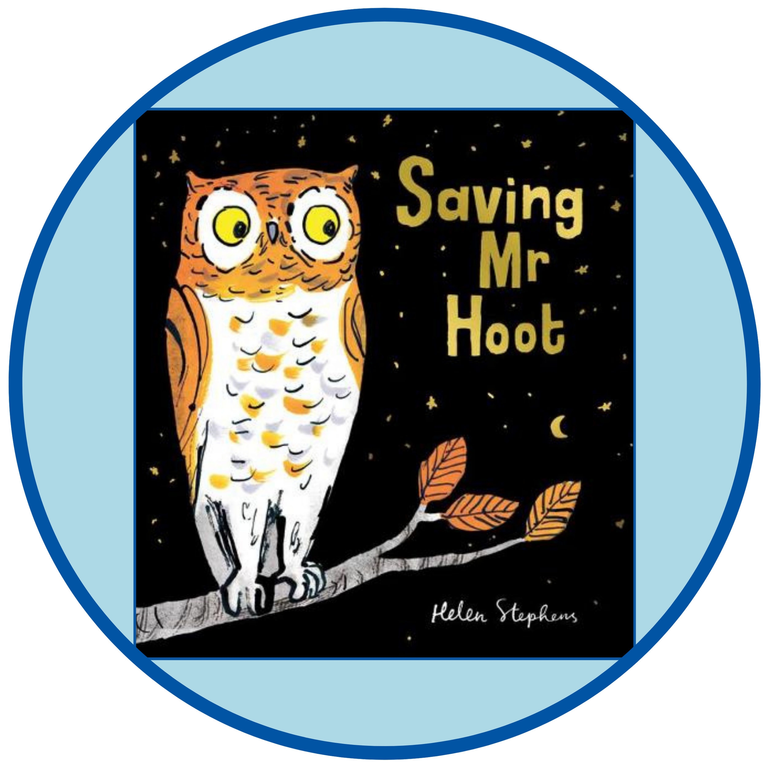 Getting ready for EYFS Unit F: Saving Mr Hoot