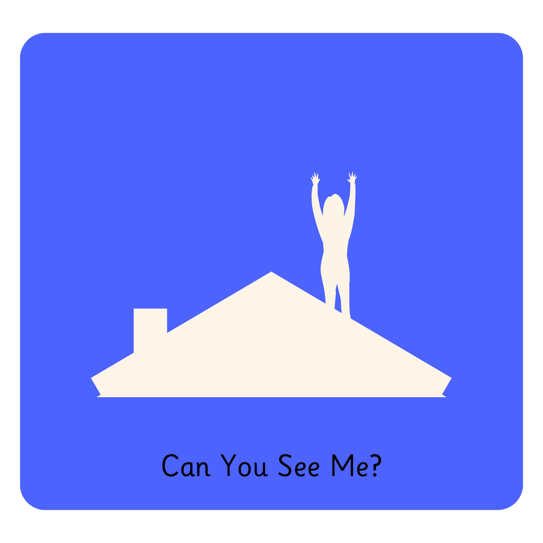Y6 Can You See Me (1).png