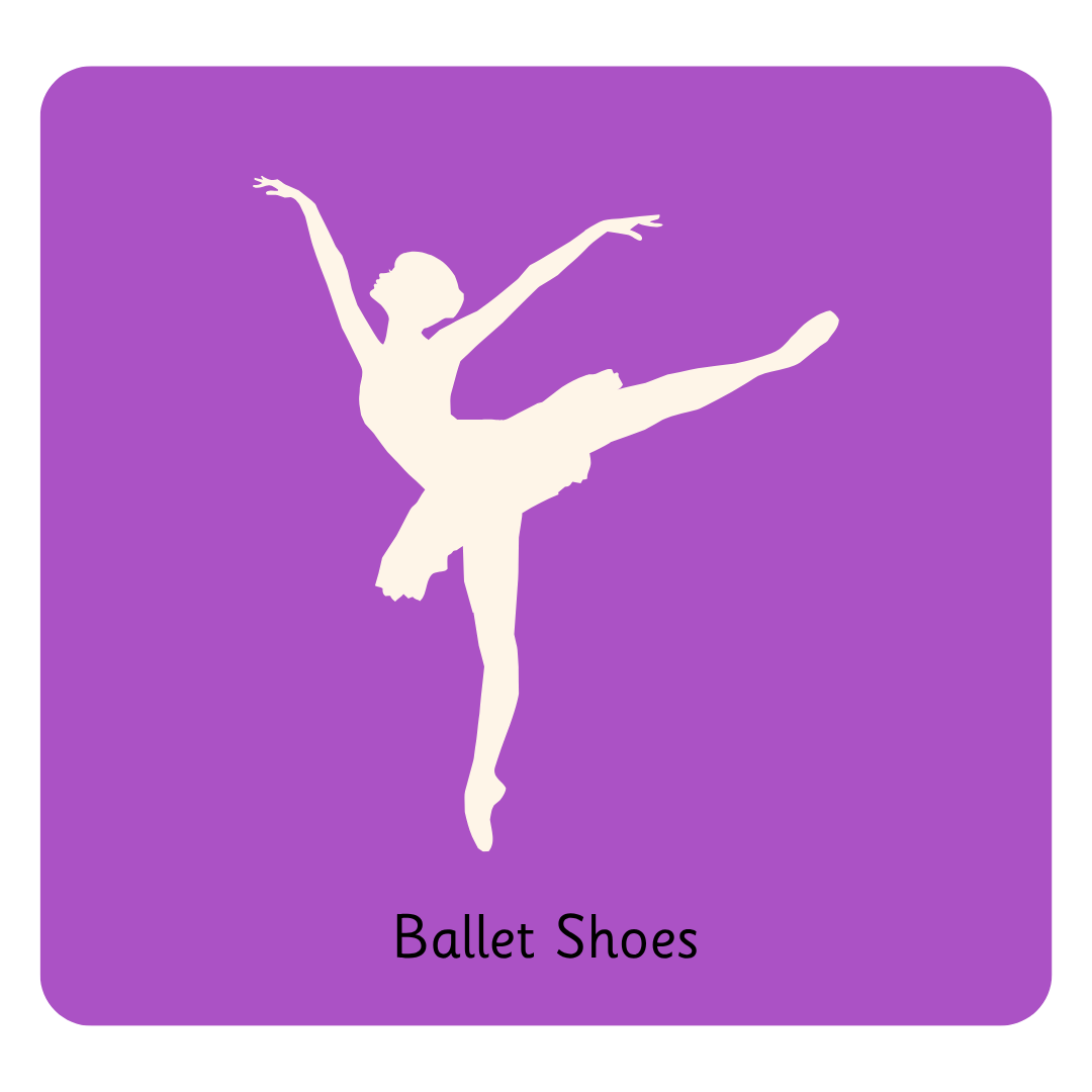 Y5 Ballet Shoes.png