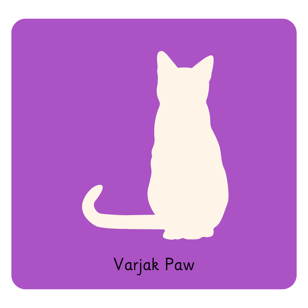 Y3 Varjak Paw.png